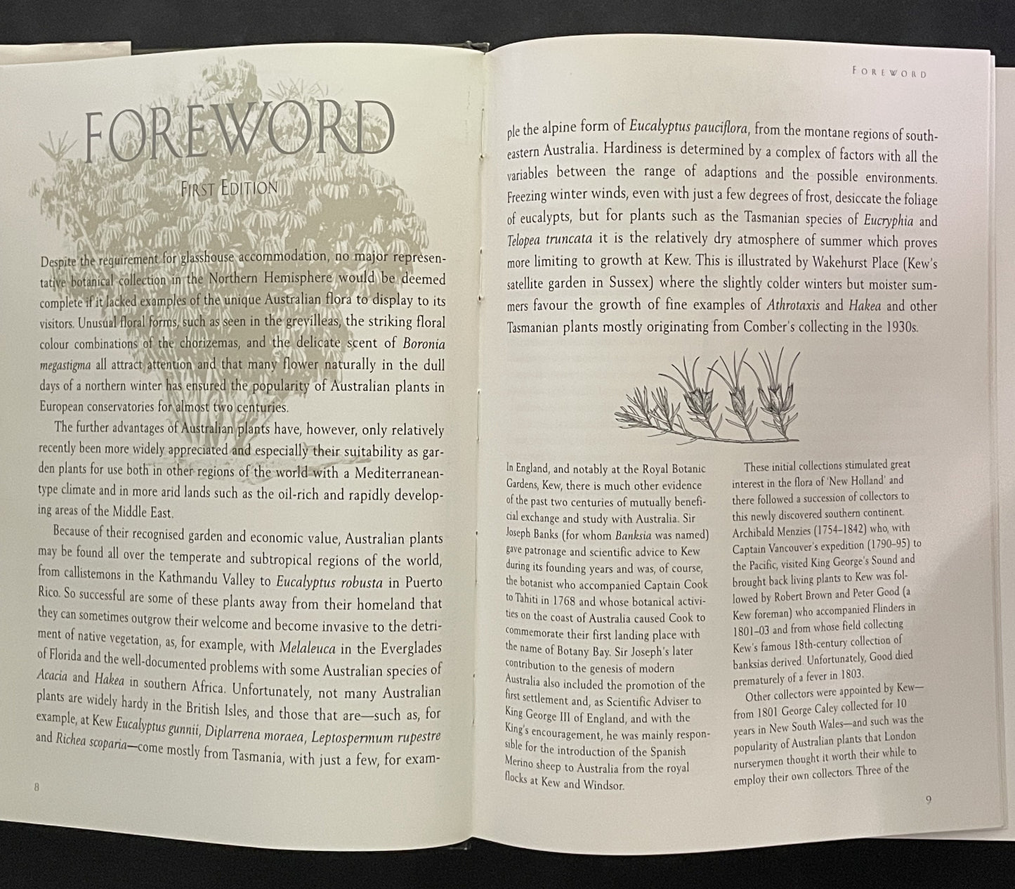 AUSTRALIAN Native Plants by John W. Wrigley Murray Fagg