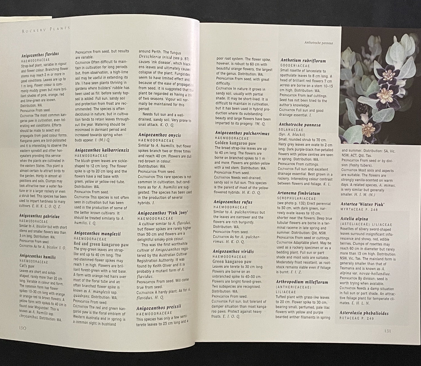 AUSTRALIAN Native Plants by John W. Wrigley Murray Fagg