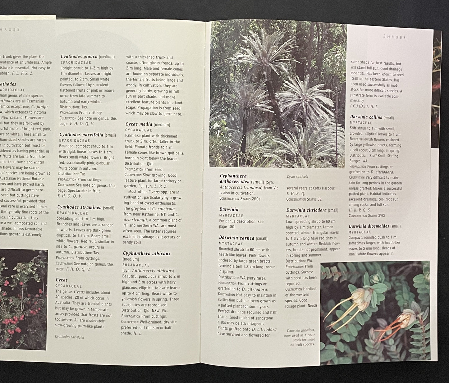 AUSTRALIAN Native Plants by John W. Wrigley Murray Fagg