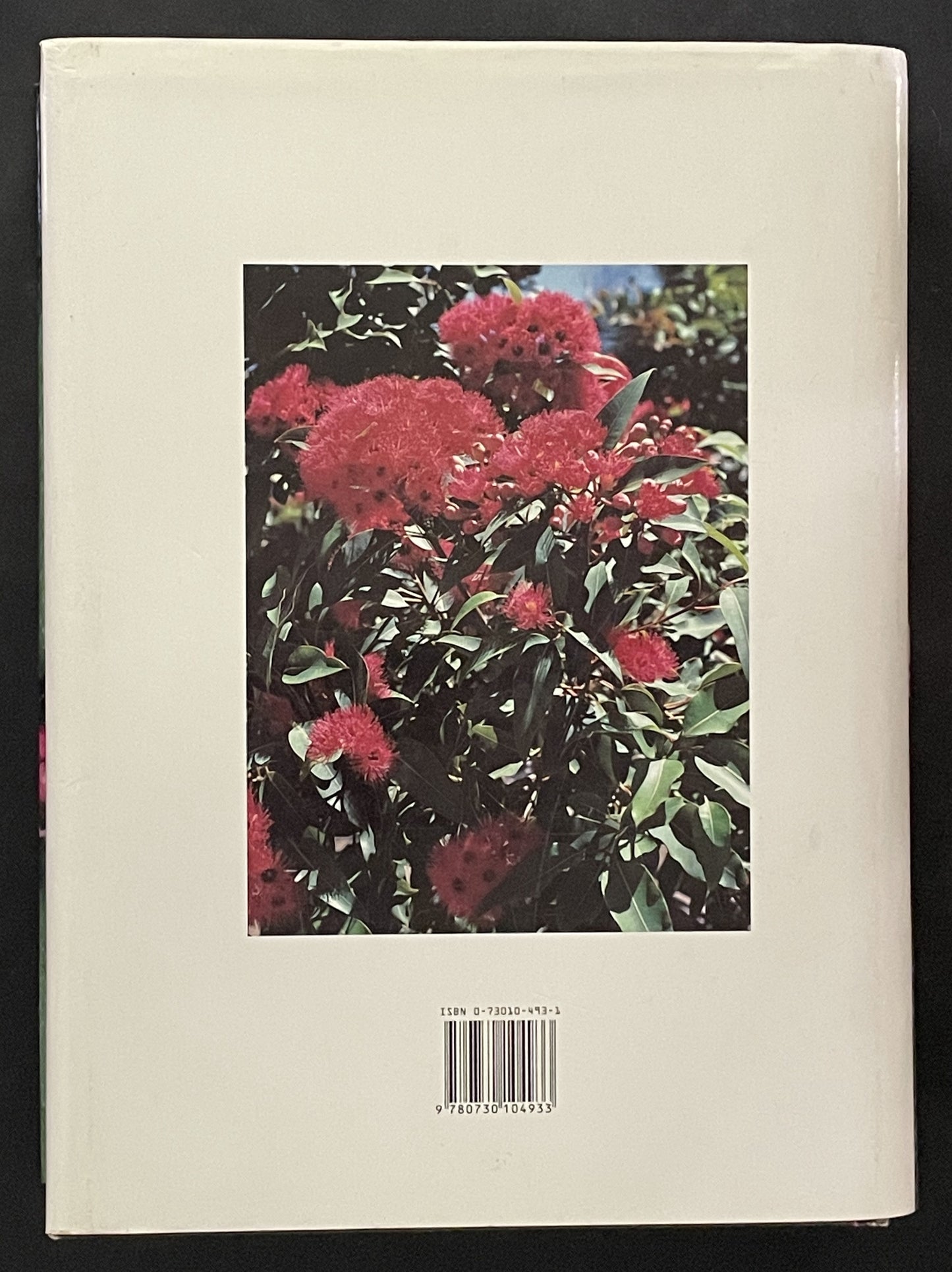 AUSTRALIAN Native Plants by John W. Wrigley Murray Fagg