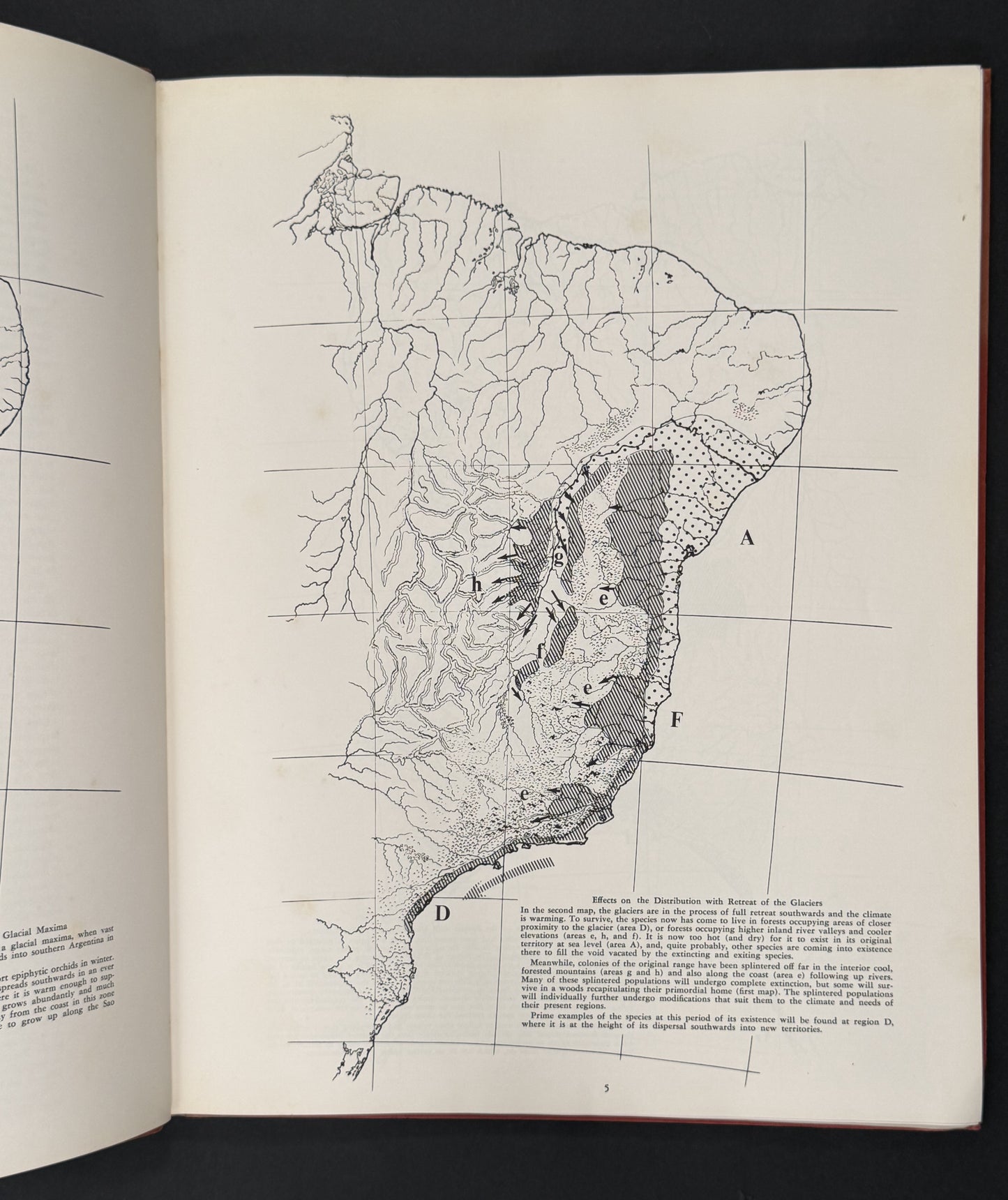 The Brazilian Bifoliate Cattleyas and Their Color Varieties by J. A. Fowlie