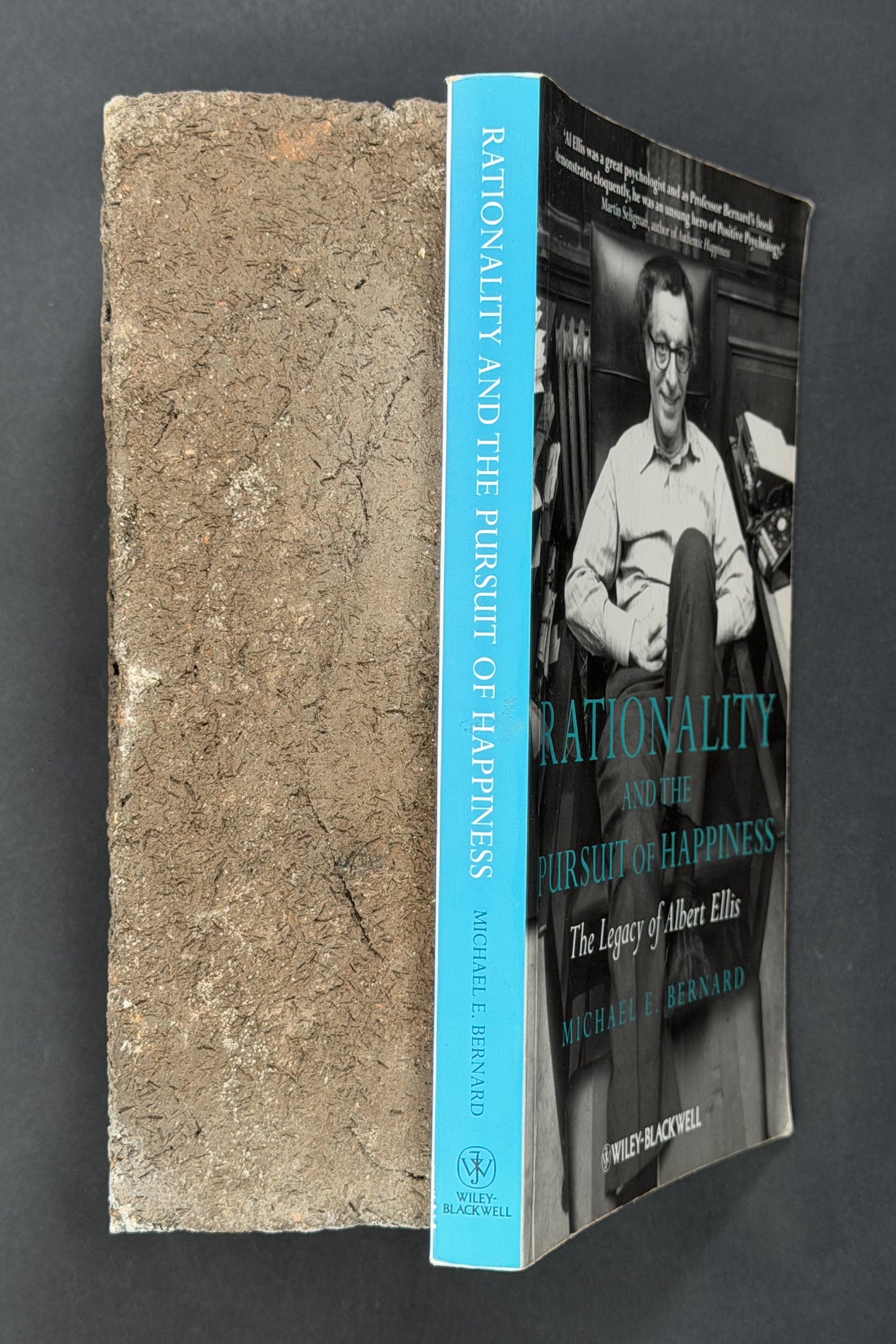 Rationality and the Pursuit of Happiness by Michael E. Bernard