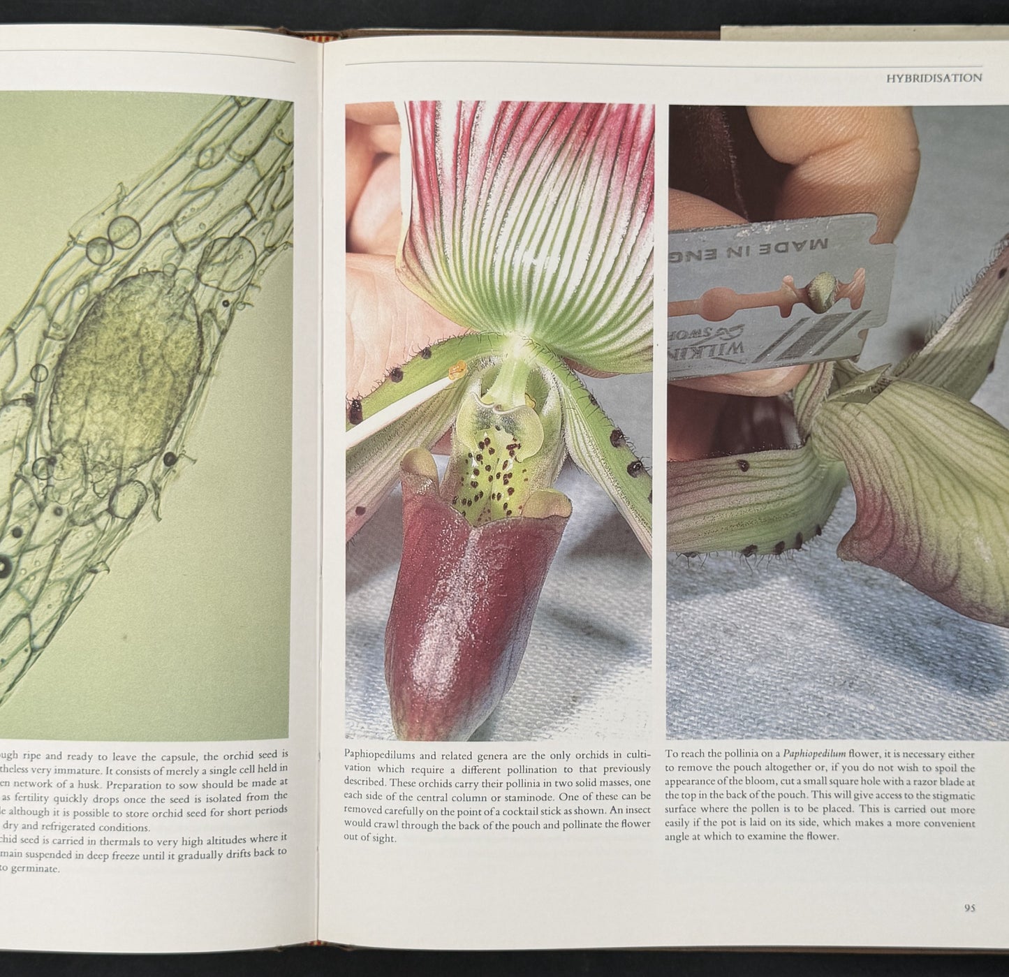 Orchid Growing Illustrated by Brian Rittershausen, Wilma Rittershausen