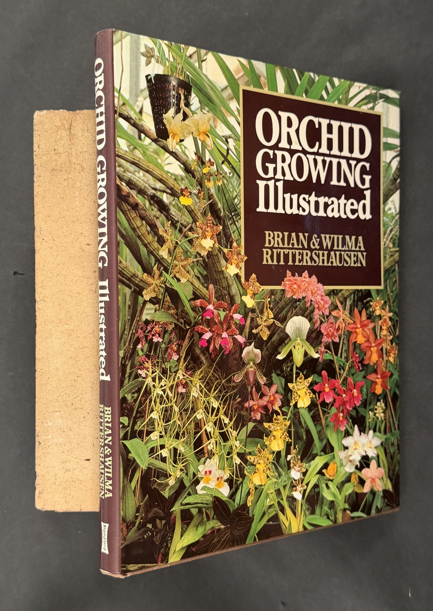 Orchid Growing Illustrated by Brian Rittershausen, Wilma Rittershausen