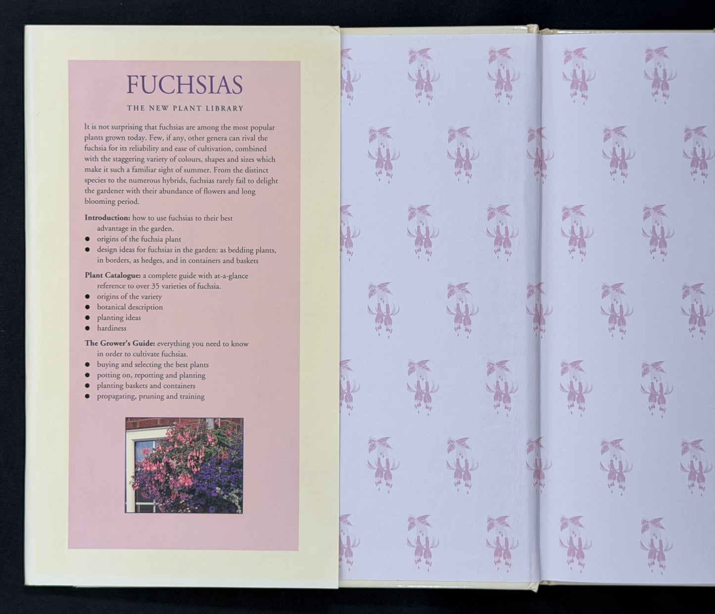 Fuchsias by Andrew Mikolajski