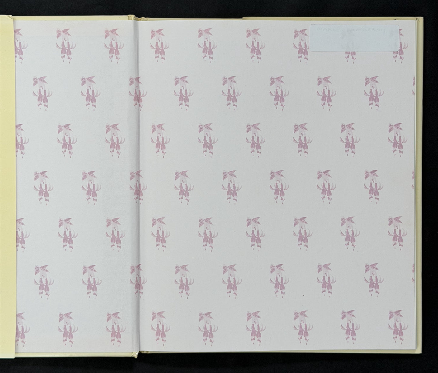 Fuchsias by Andrew Mikolajski