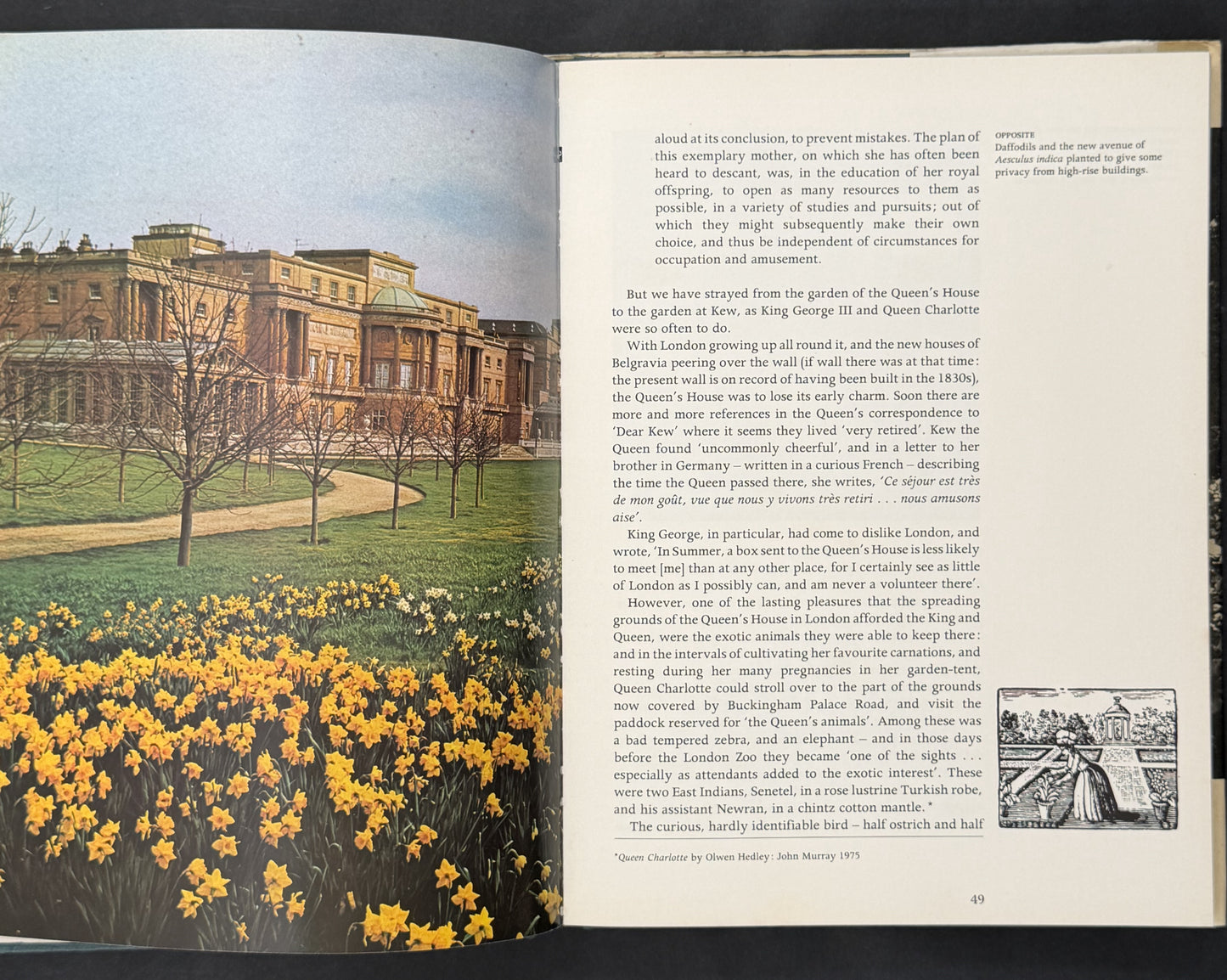The Gardens of Buckingham Palace by Peter Coats
