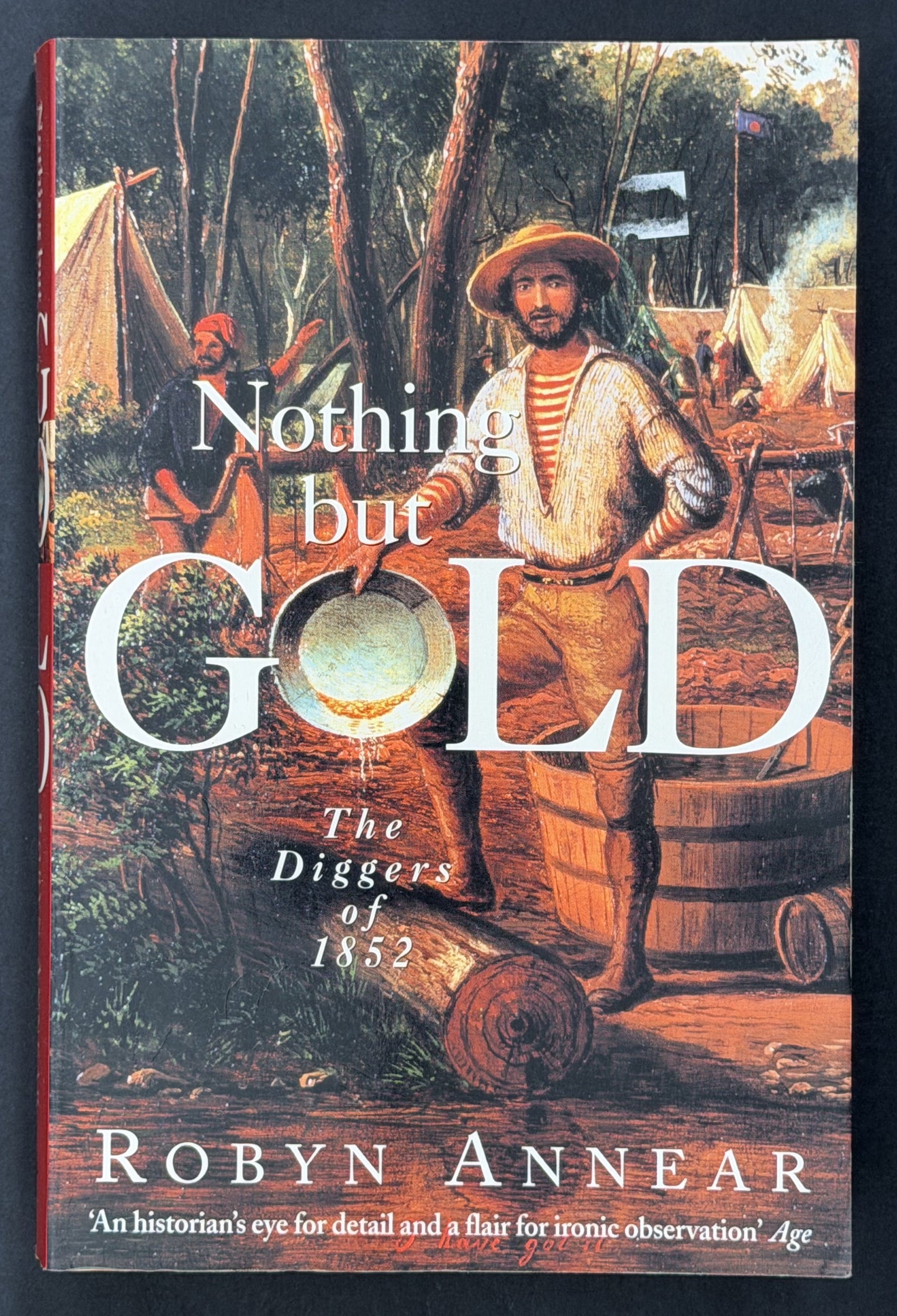 Nothing But Gold by Robyn Annear
