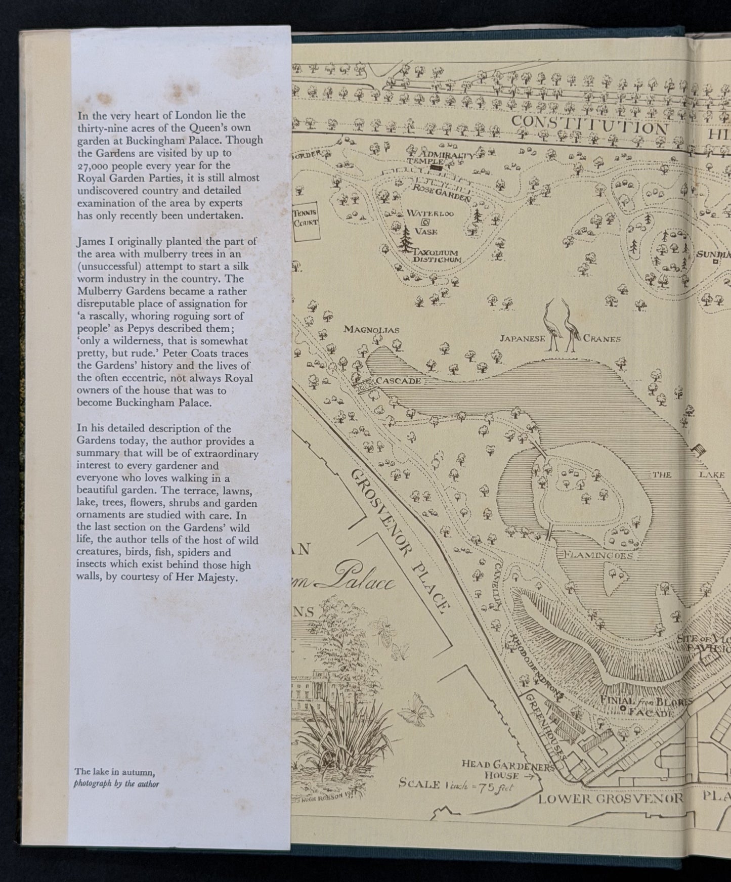 The Gardens of Buckingham Palace by Peter Coats