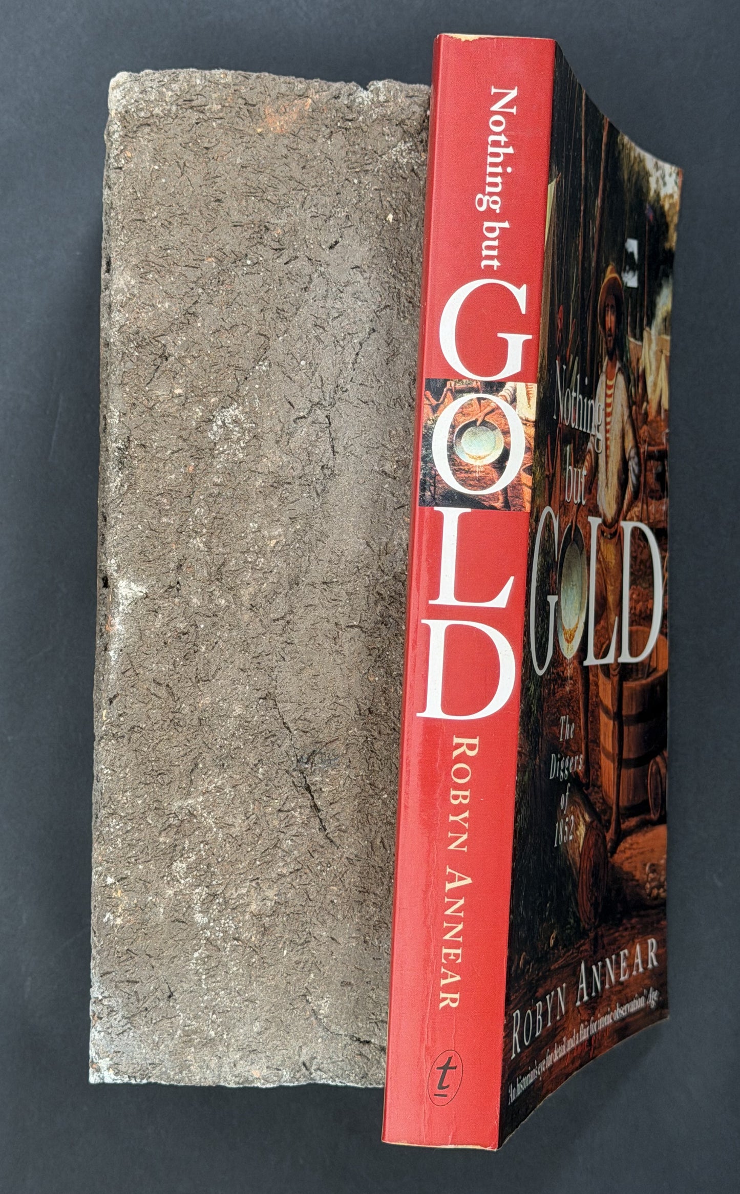Nothing But Gold by Robyn Annear
