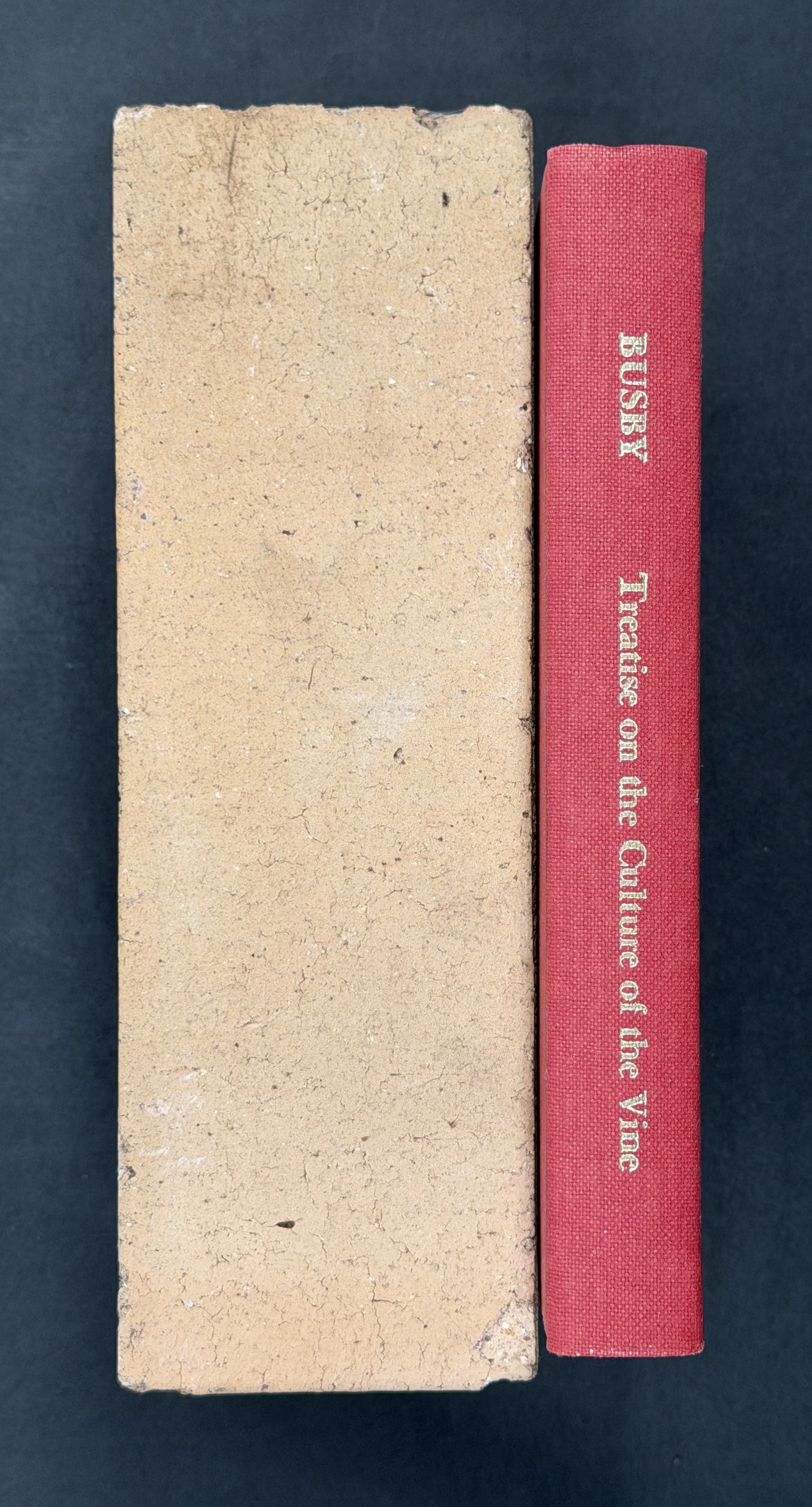 A Treatise on the Culture of the Vine, and the Art of Making Wine