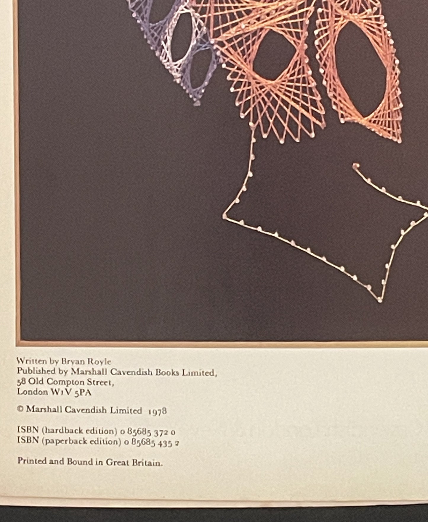 More Pictures with Pins by Bryan Royle