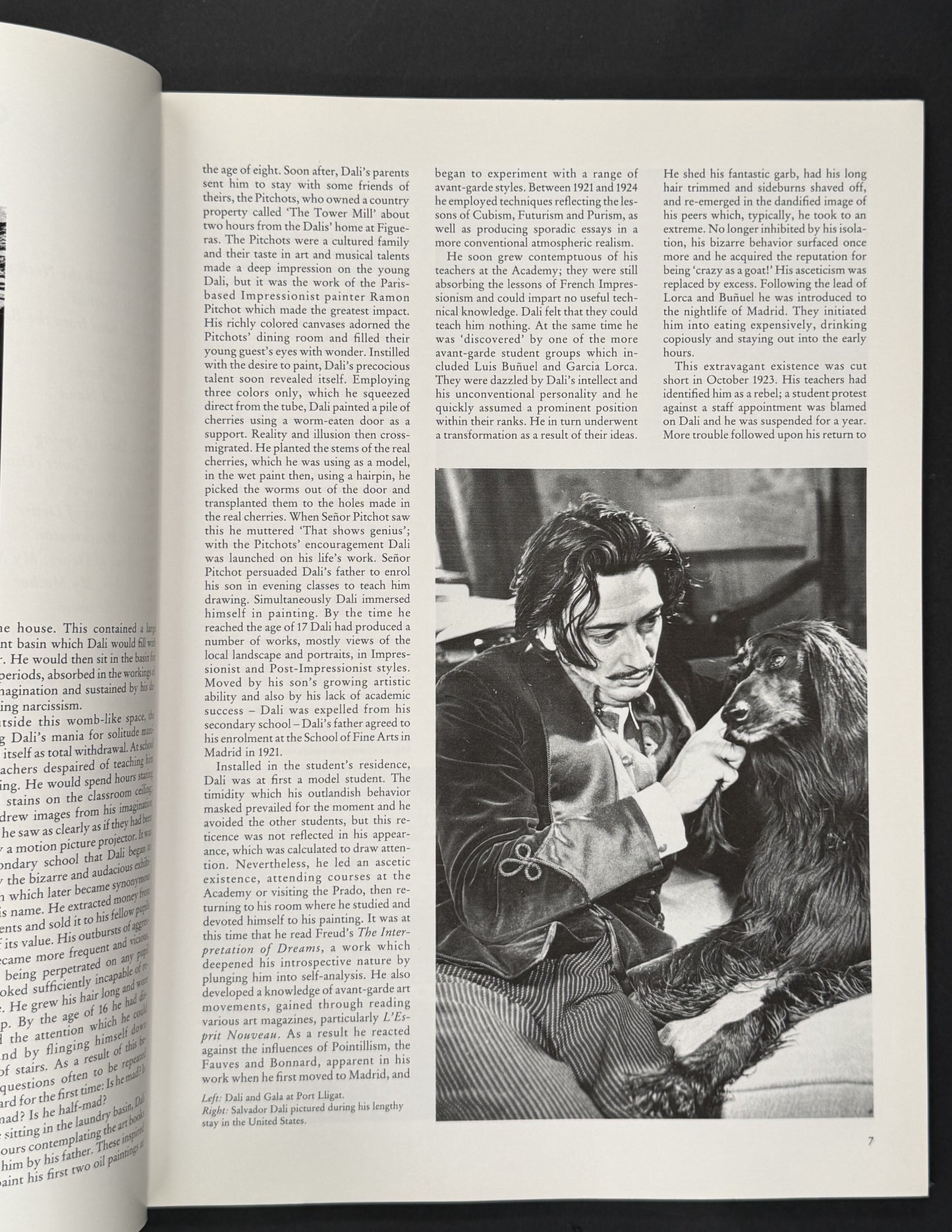Dalí by Paul Moorhouse, Salvador Dalí