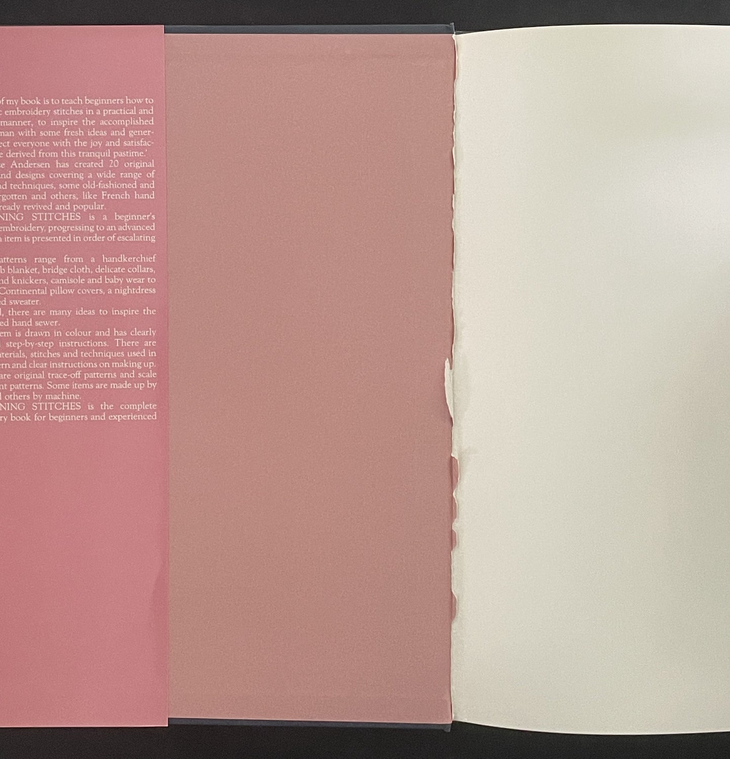 Stunning Stitches with Original Patterns by Primrose Andersen