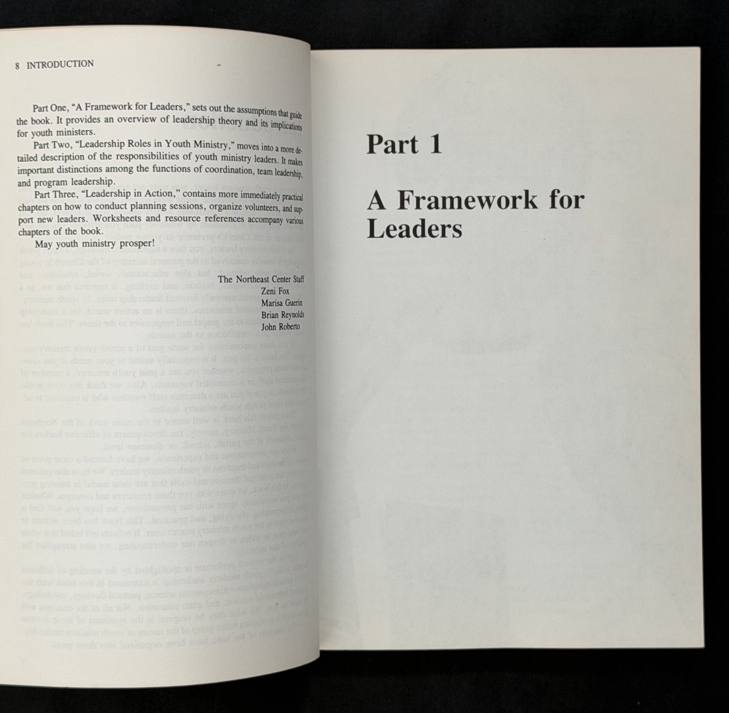 Leadership for Youth Ministry by Zeni Fox et al.