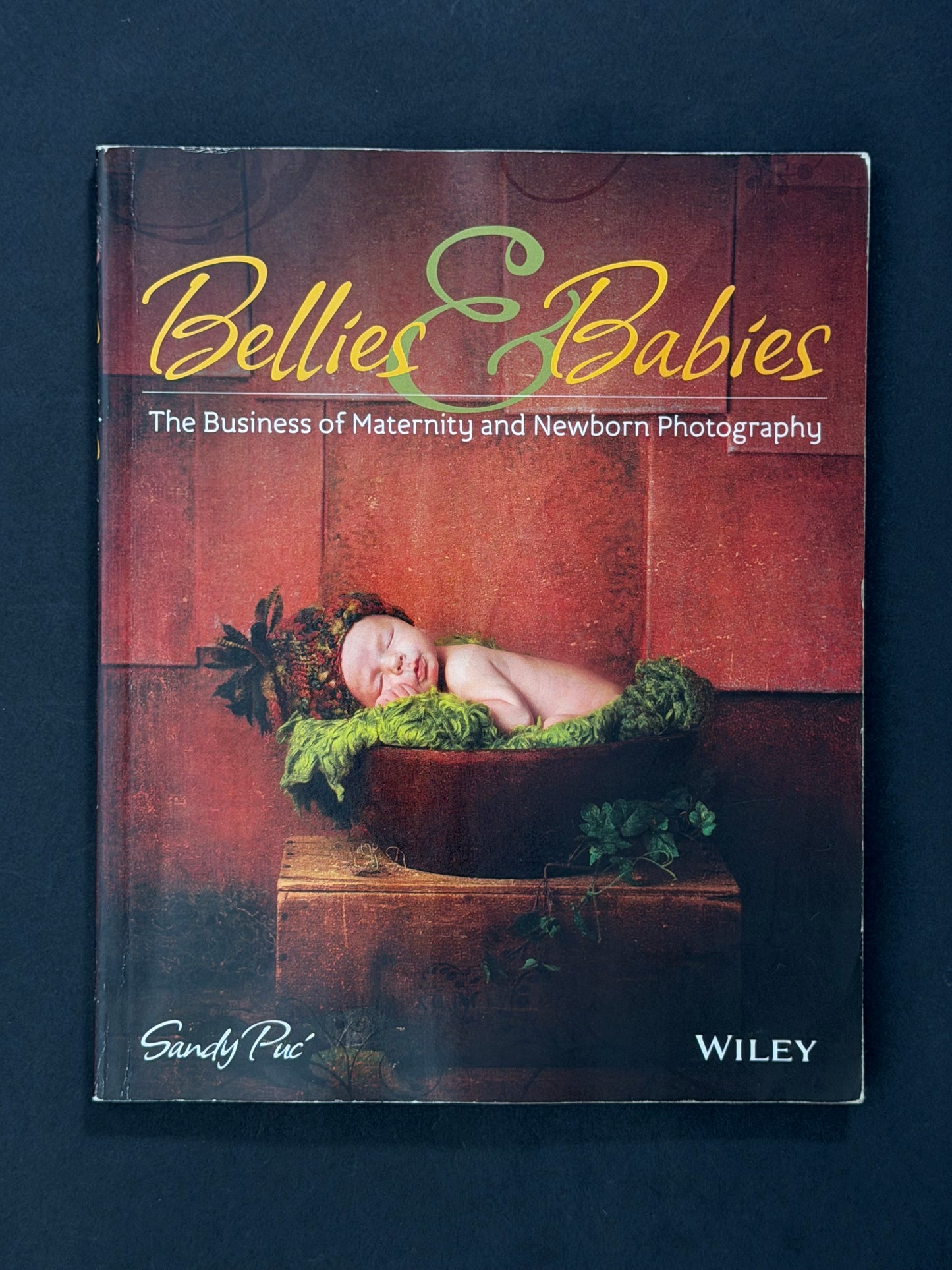 Bellies and Babies by Sandy Puc'