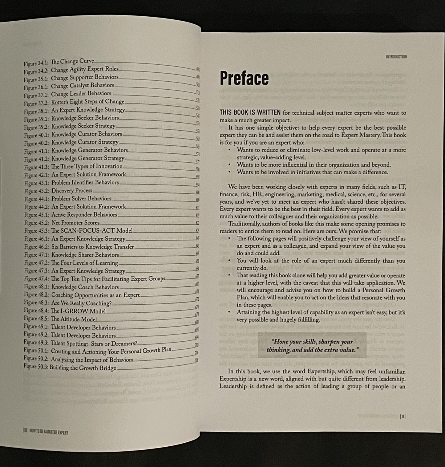 Master Expert by Alistair Gordon & Dominic Johnson