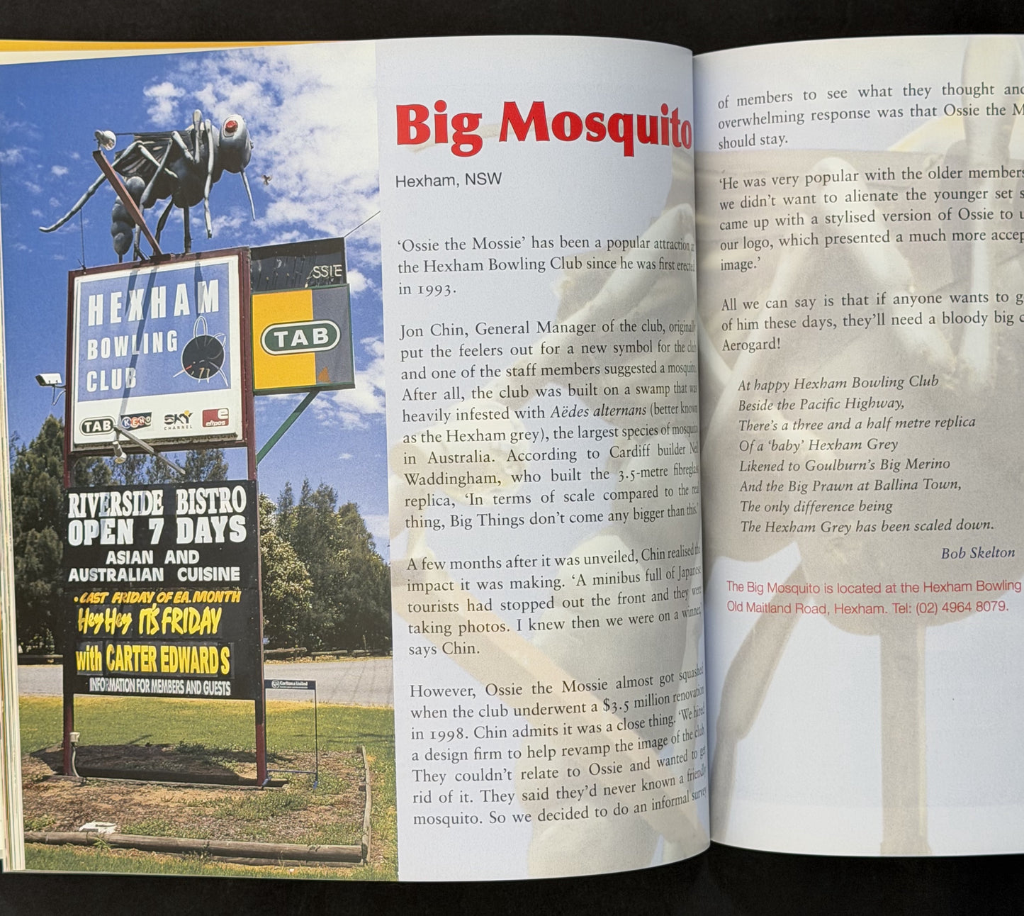 Big Things by David Clark
