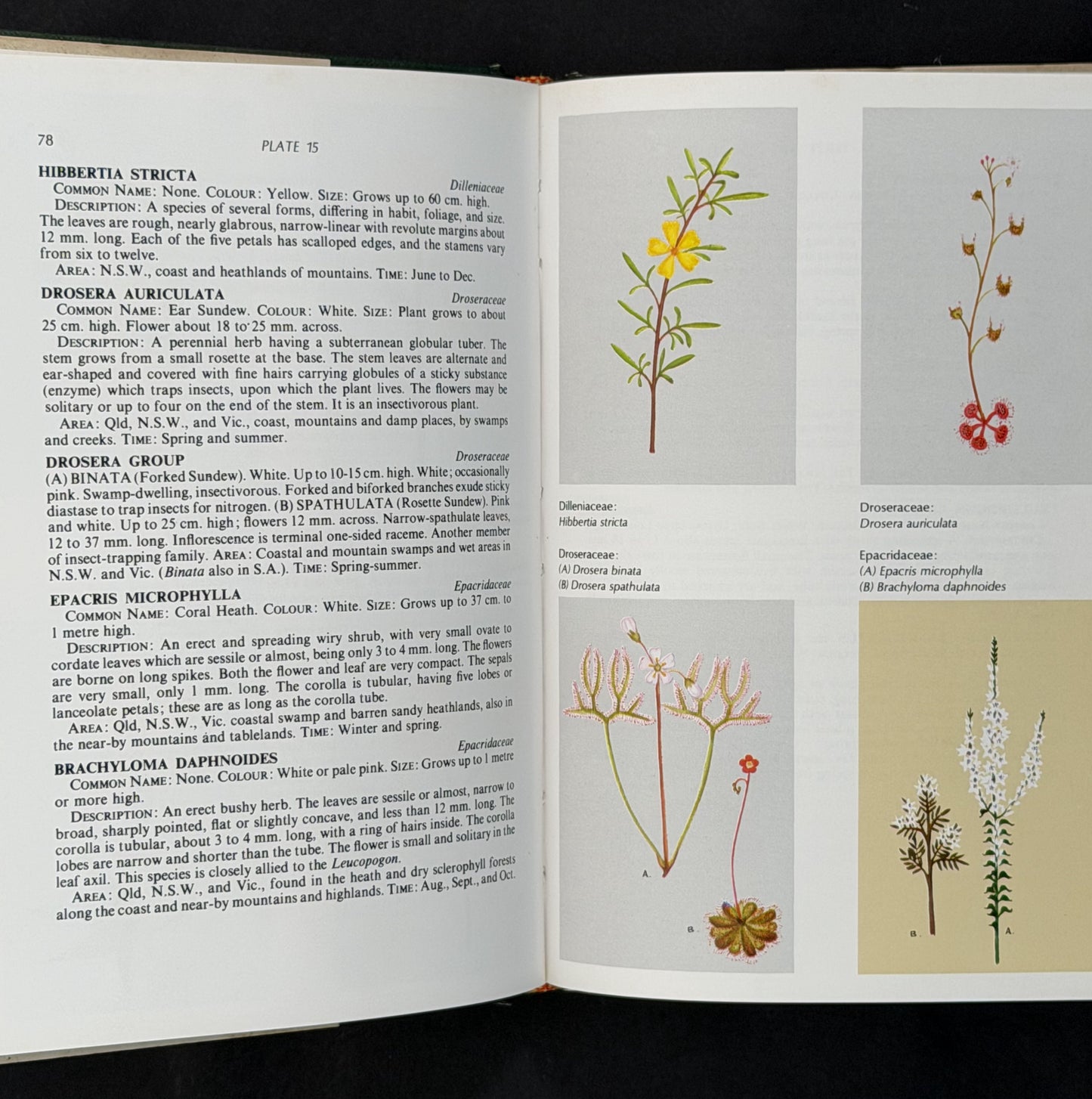 A Field Guide to Australian Wildflowers by Margaret Hodgson, Roland Paine