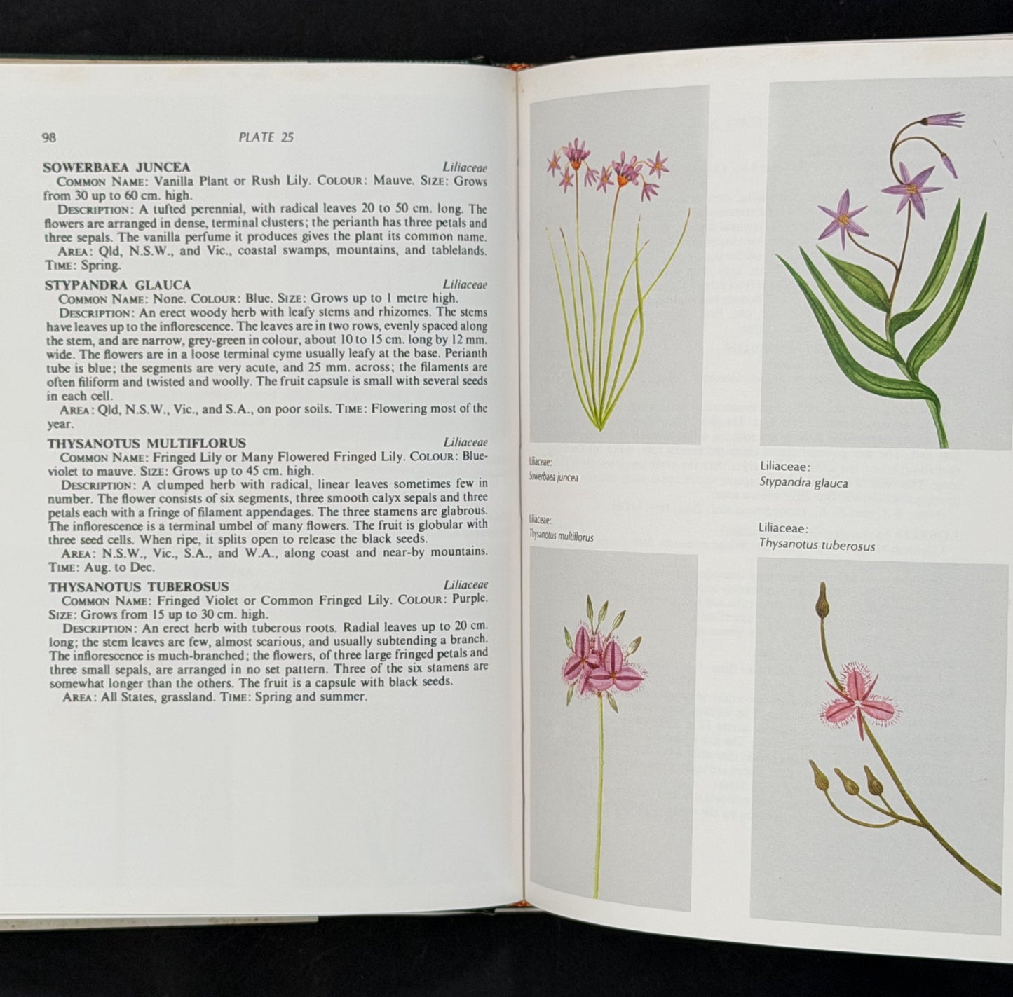 A Field Guide to Australian Wildflowers by Margaret Hodgson, Roland Paine