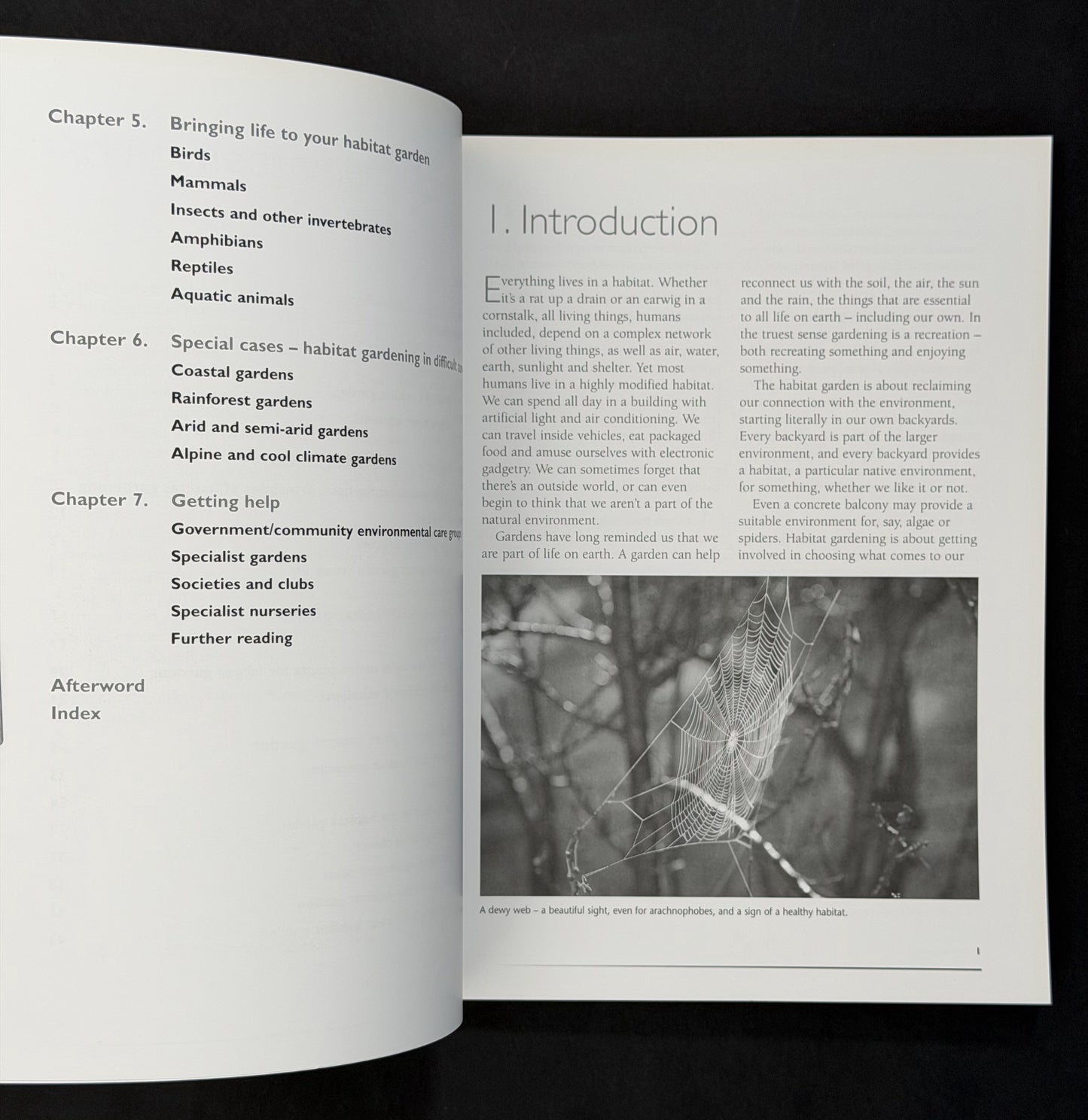Habitat Garden by Peter Grant