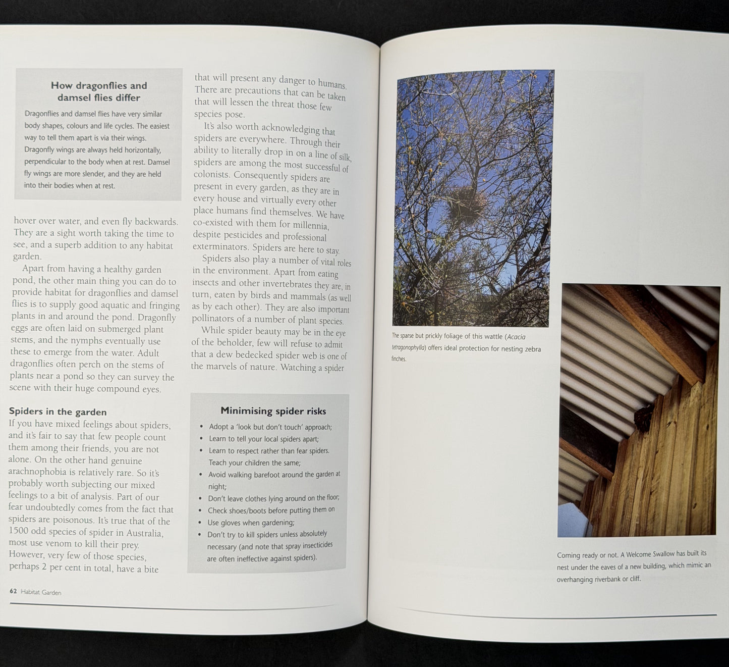 Habitat Garden by Peter Grant