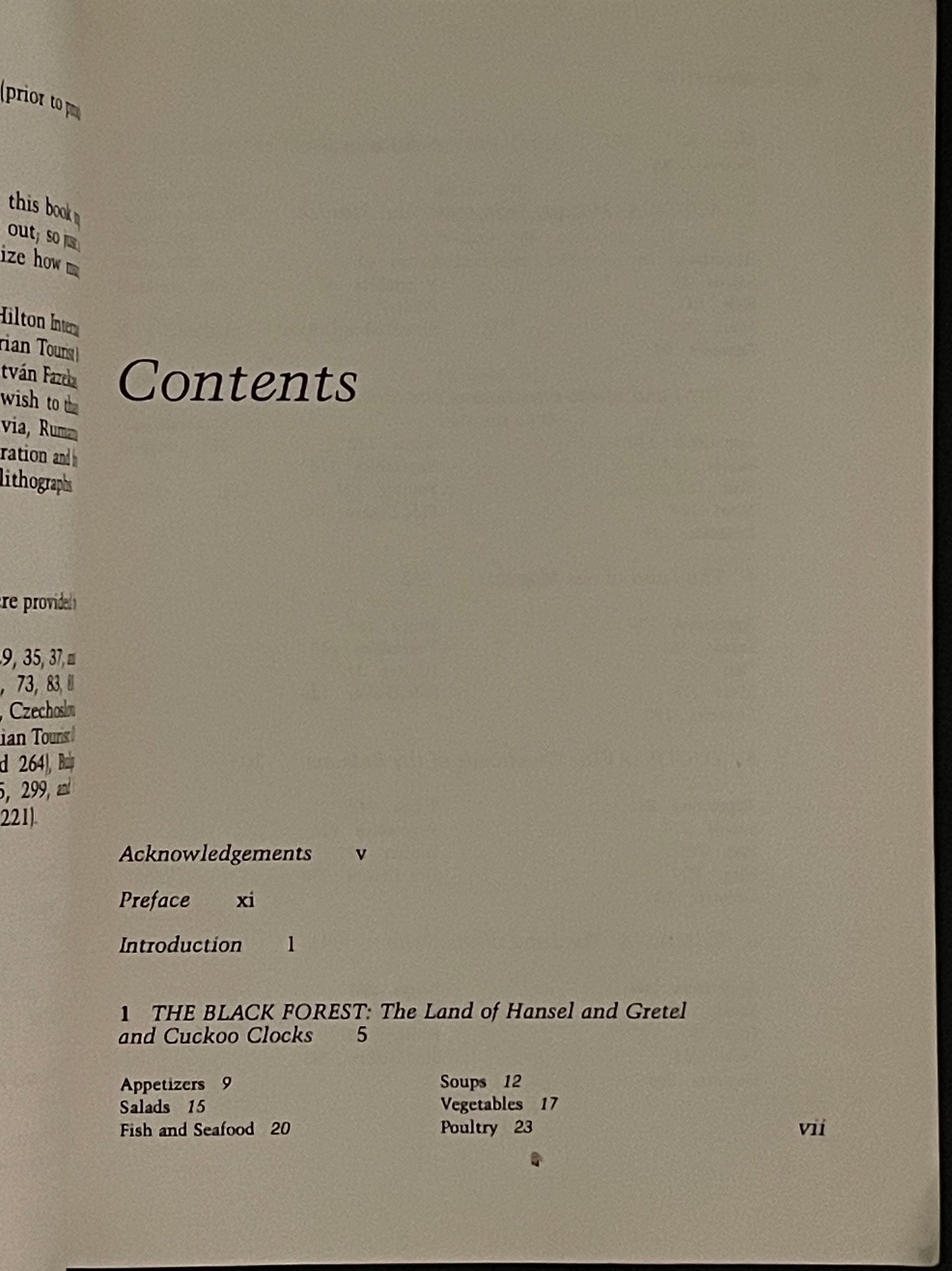 All Along the Danube by Marina Polvay