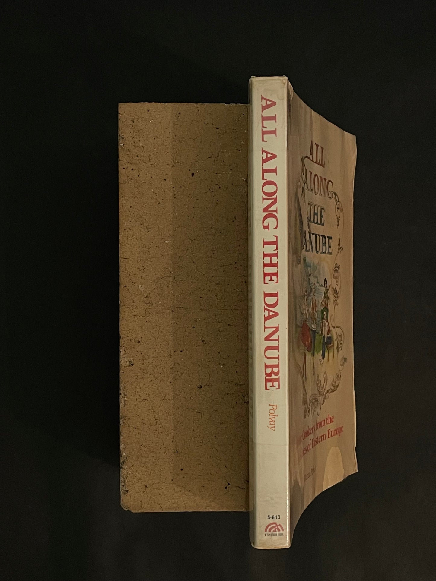 All Along the Danube by Marina Polvay