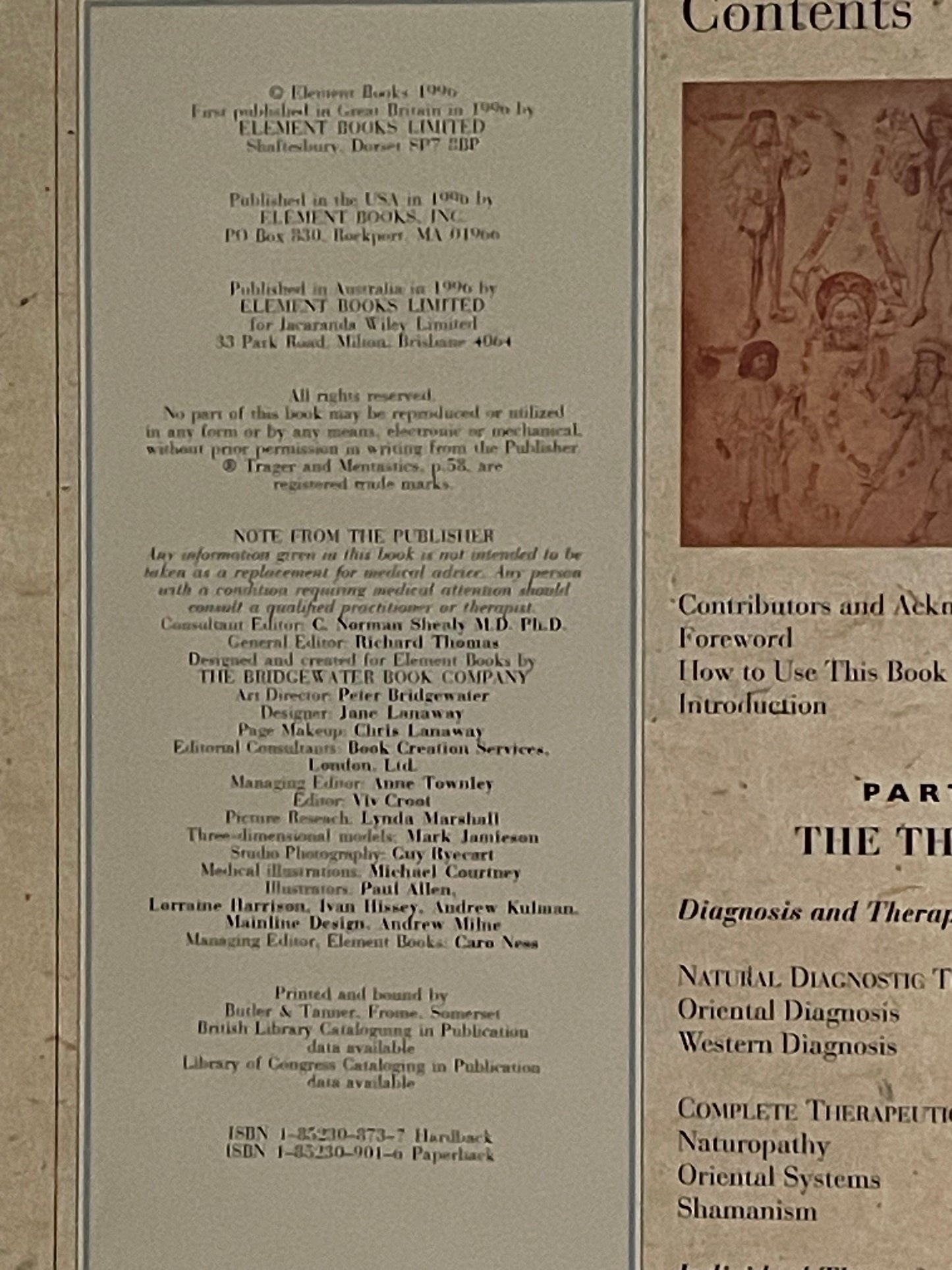 The Complete Family Guide to Alternative Medicine by Richard Thomas