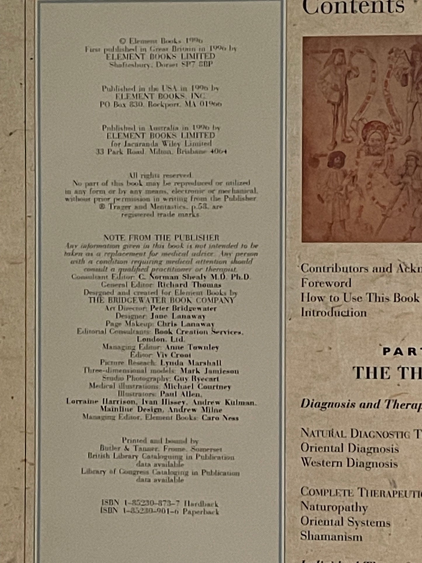 The Complete Family Guide to Alternative Medicine by Richard Thomas