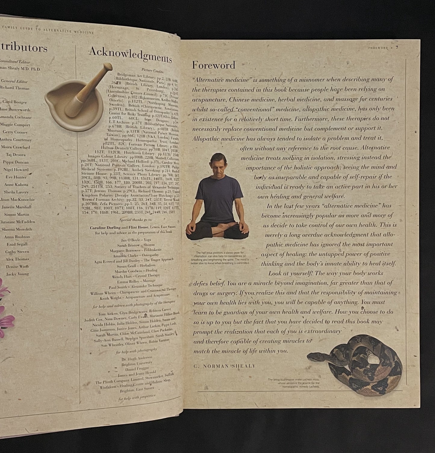 The Complete Family Guide to Alternative Medicine by Richard Thomas