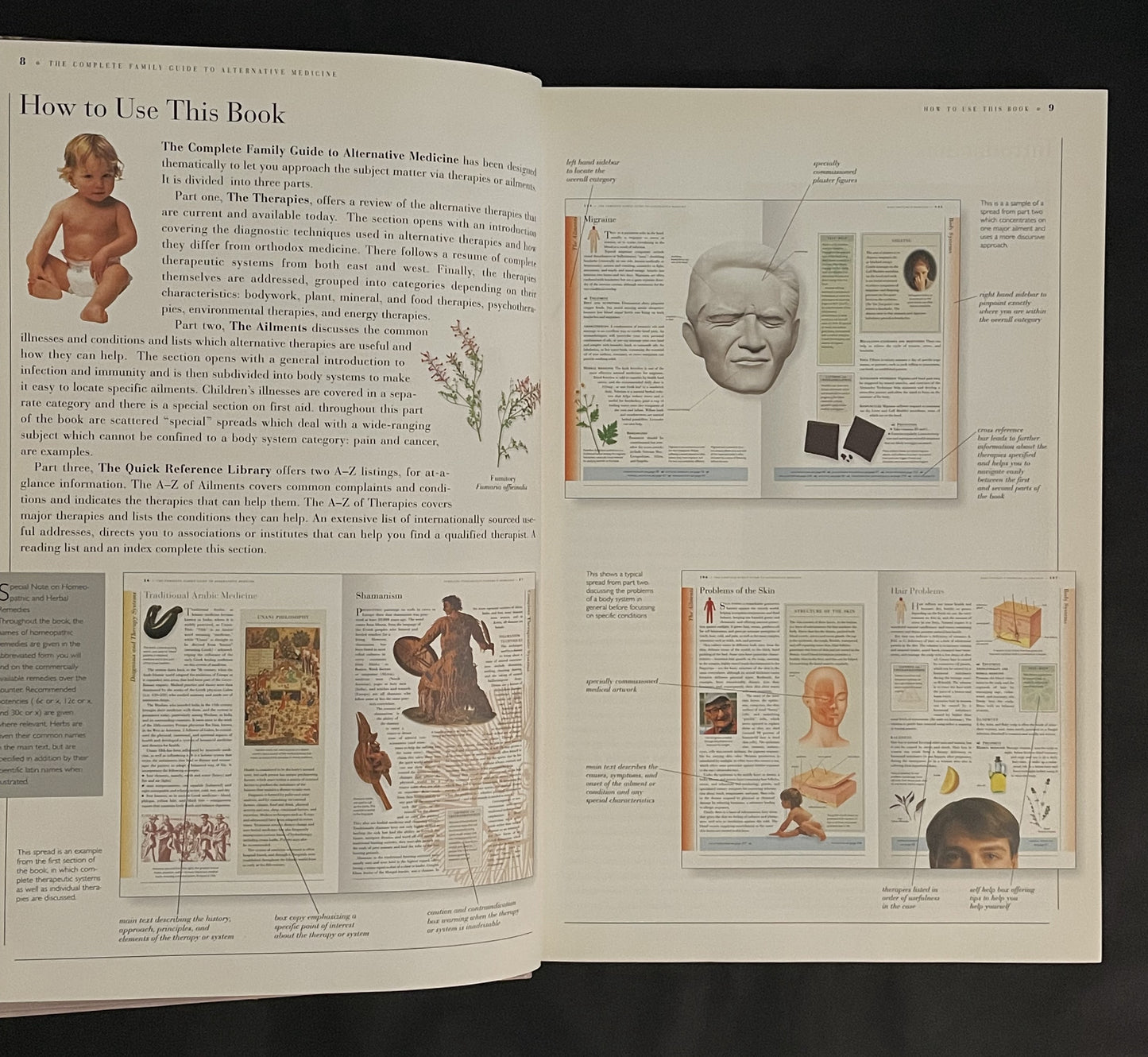 The Complete Family Guide to Alternative Medicine by Richard Thomas