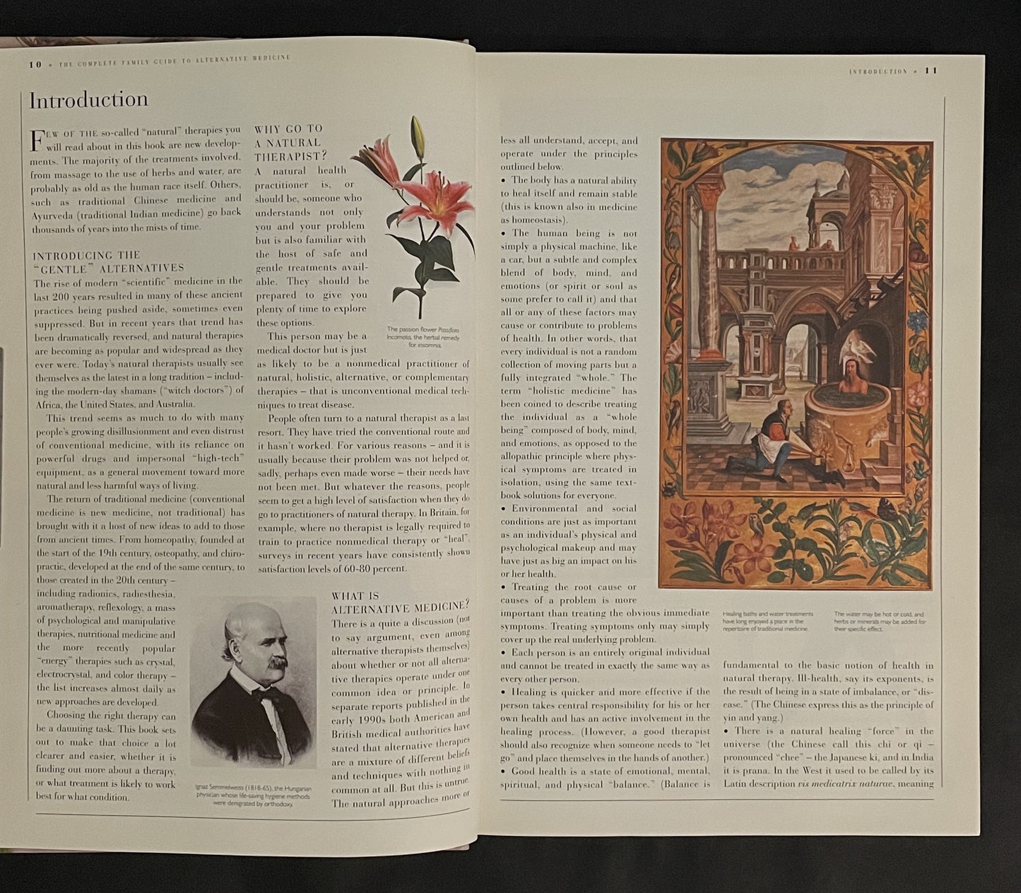 The Complete Family Guide to Alternative Medicine by Richard Thomas