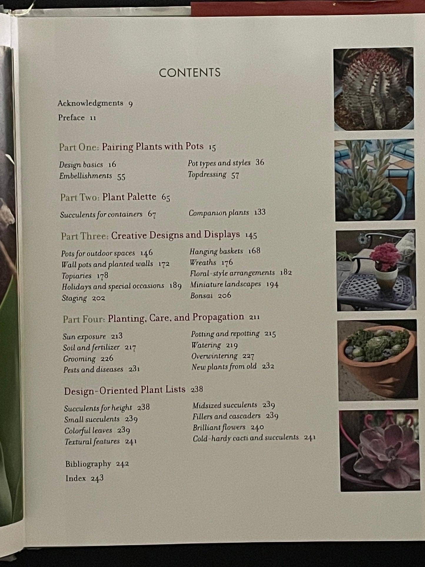 Succulent Container Gardens by Debra Lee Baldwin