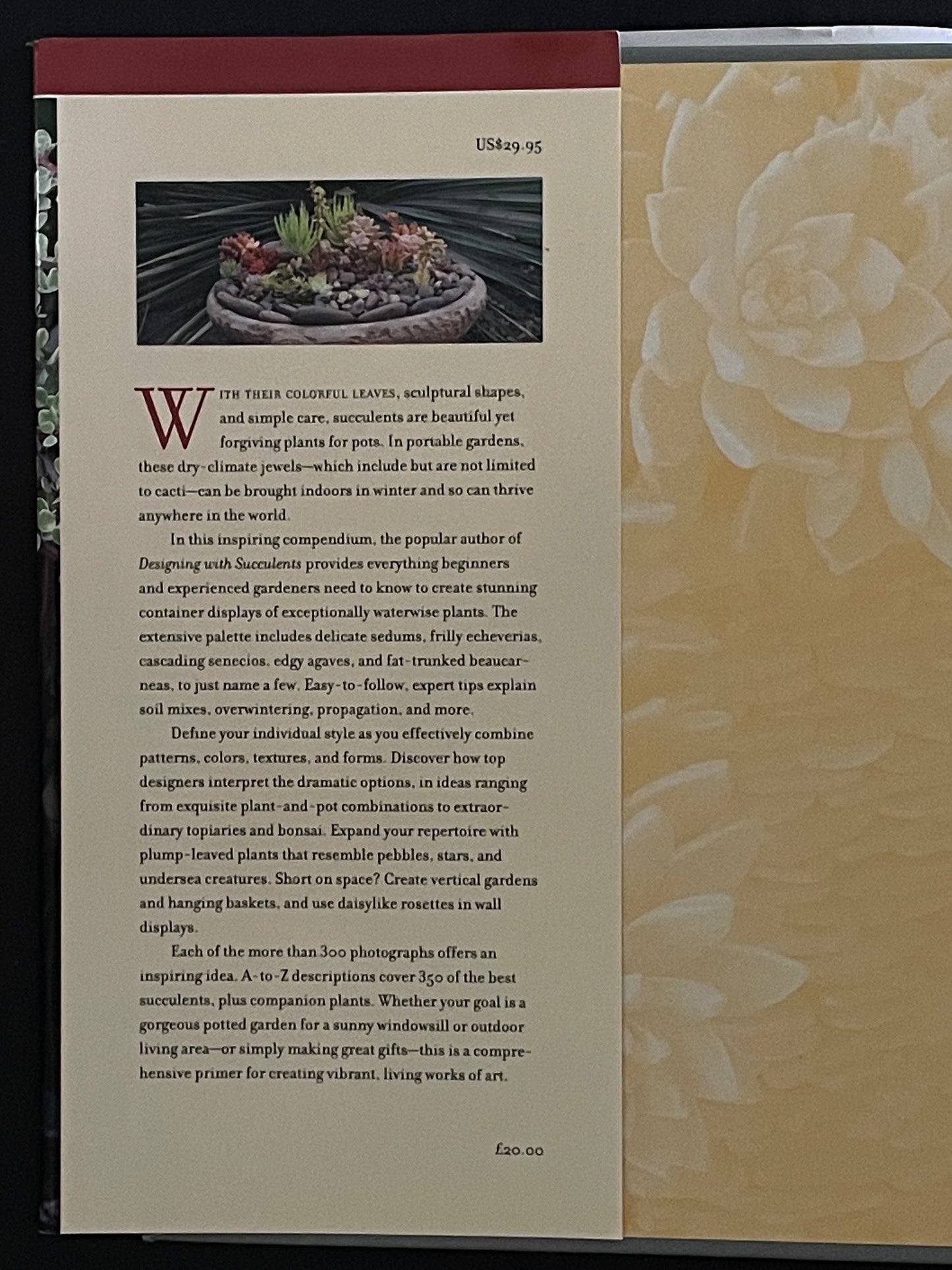 Succulent Container Gardens by Debra Lee Baldwin