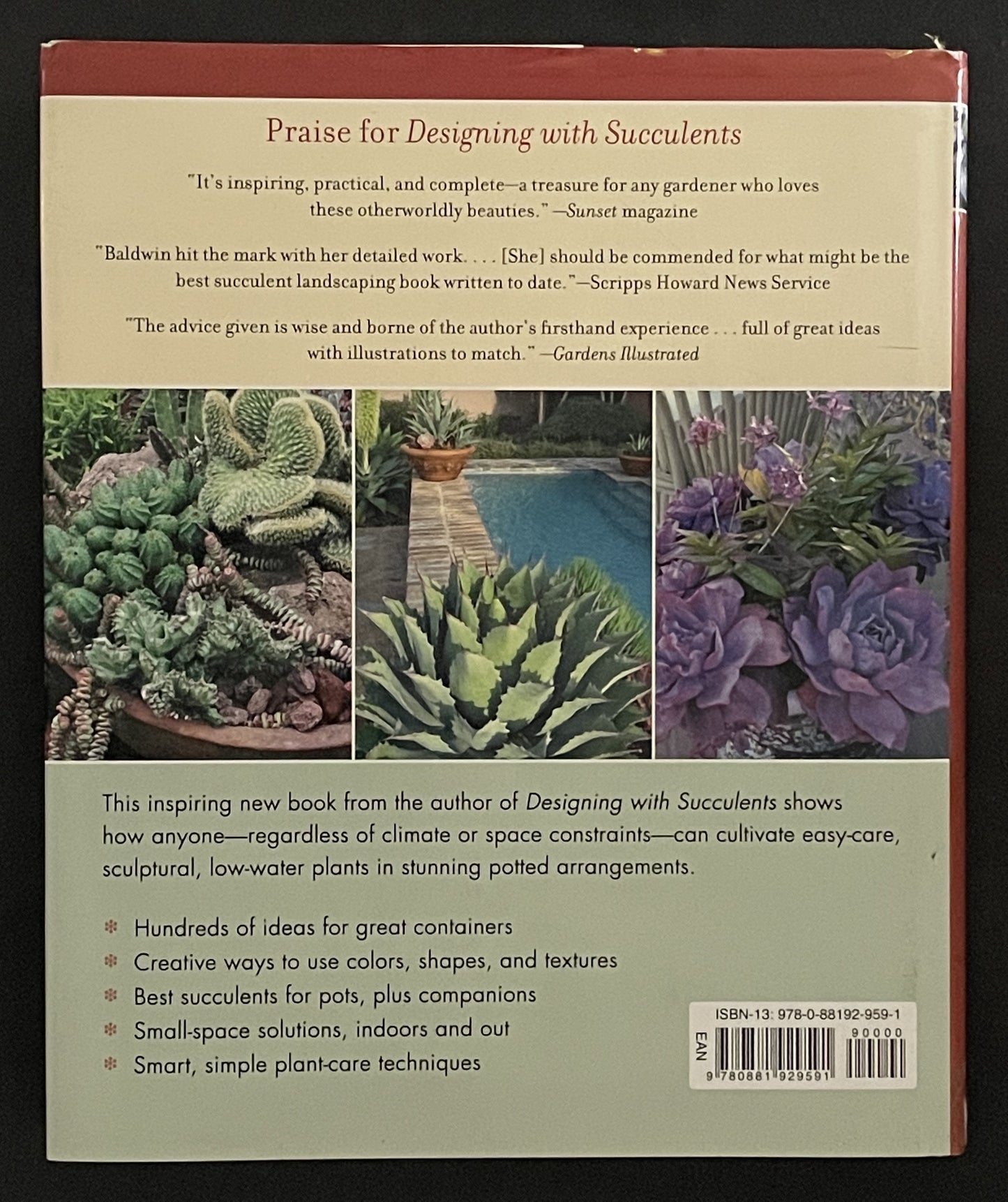 Succulent Container Gardens by Debra Lee Baldwin