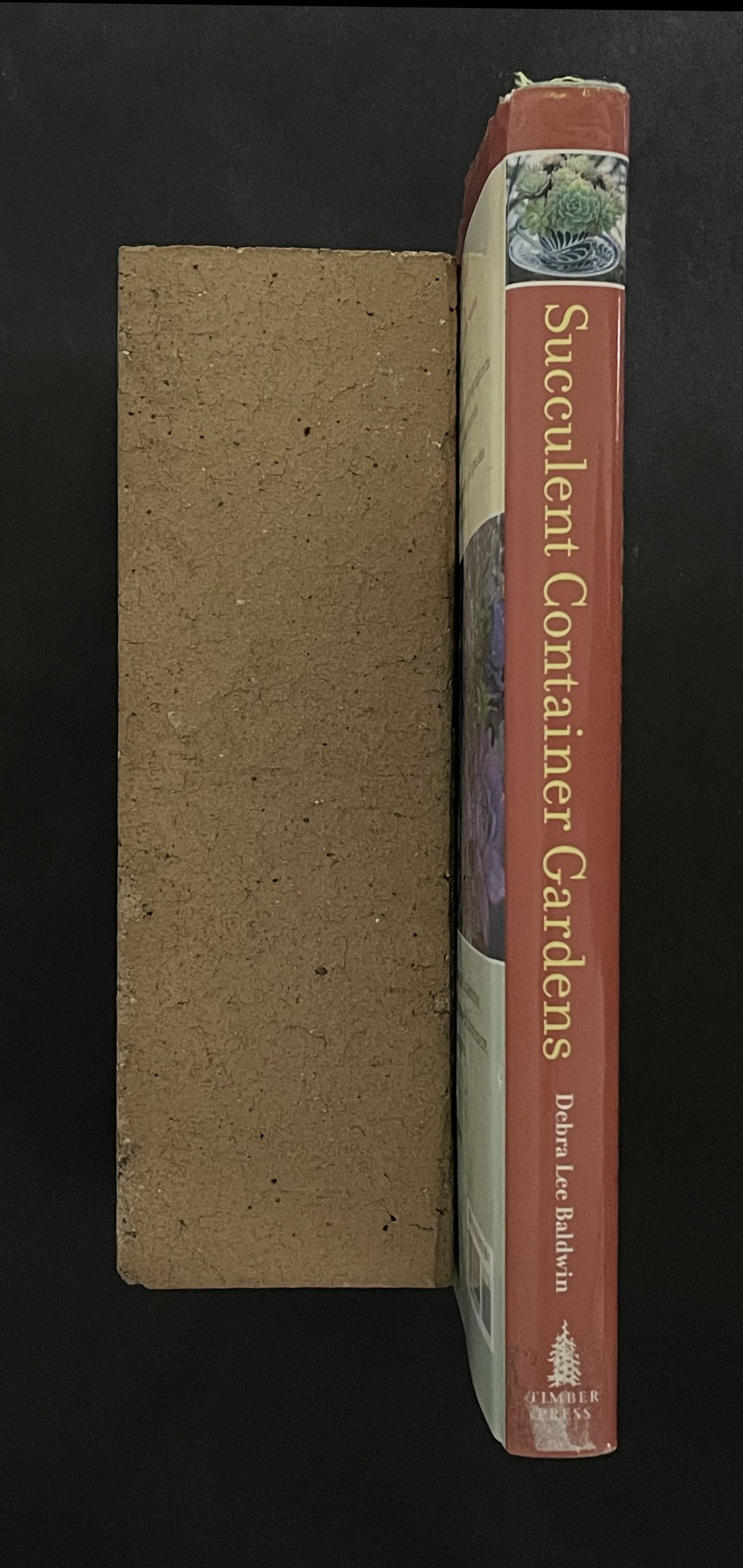 Succulent Container Gardens by Debra Lee Baldwin