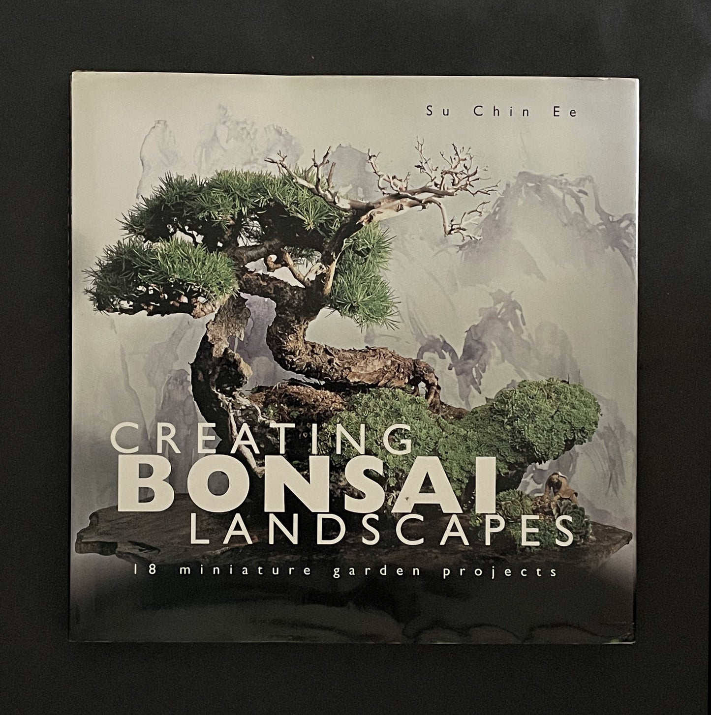 Creating Miniature Landscapes by Su Chin Ee