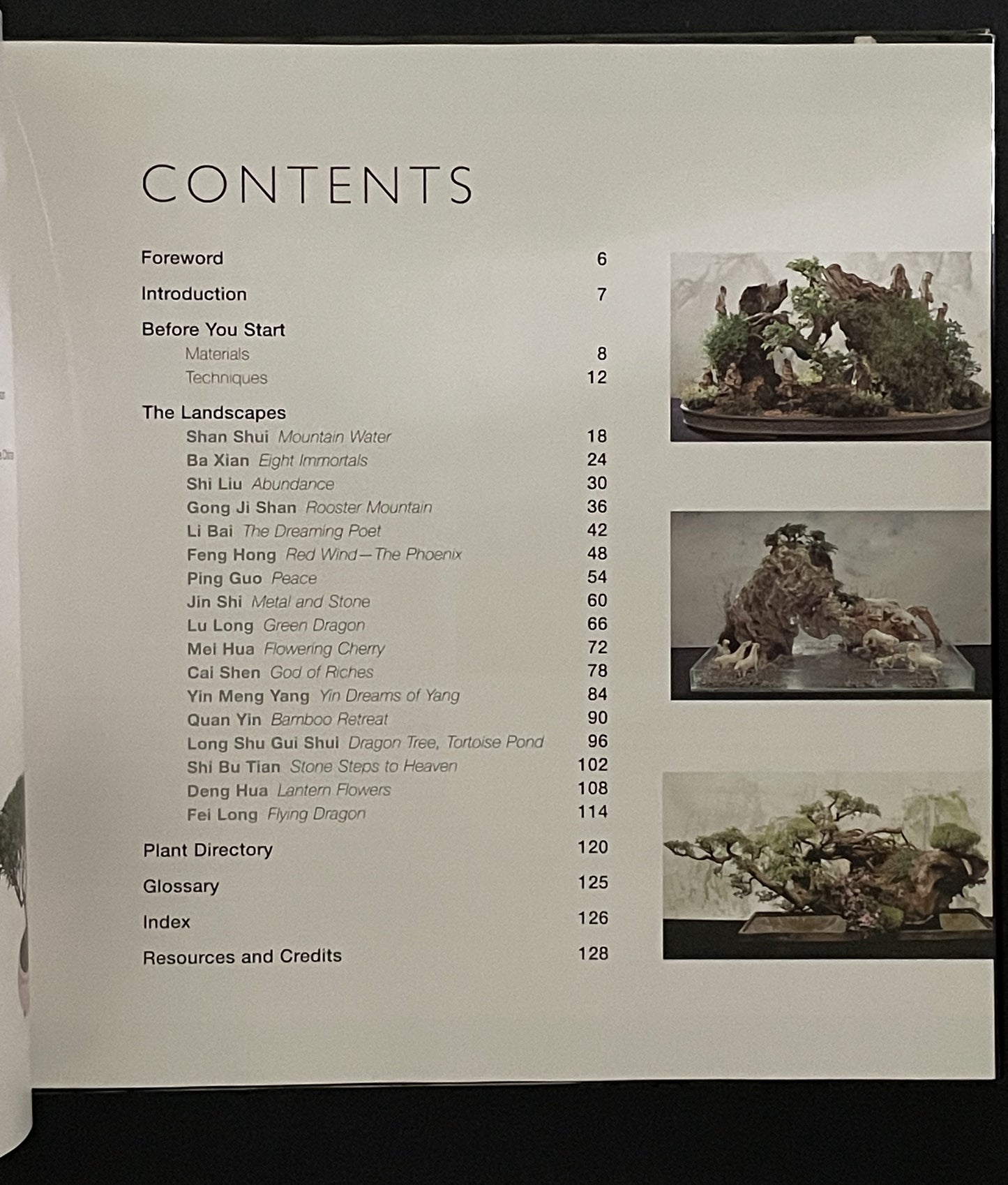 Creating Miniature Landscapes by Su Chin Ee