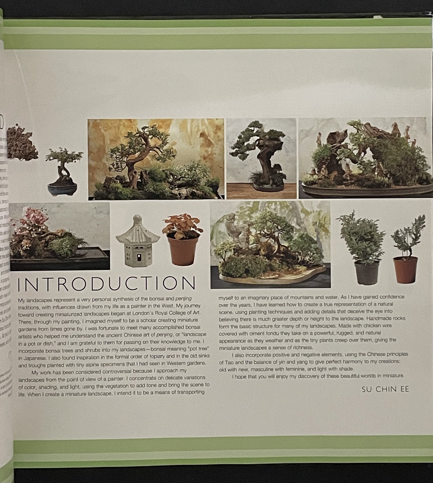 Creating Miniature Landscapes by Su Chin Ee