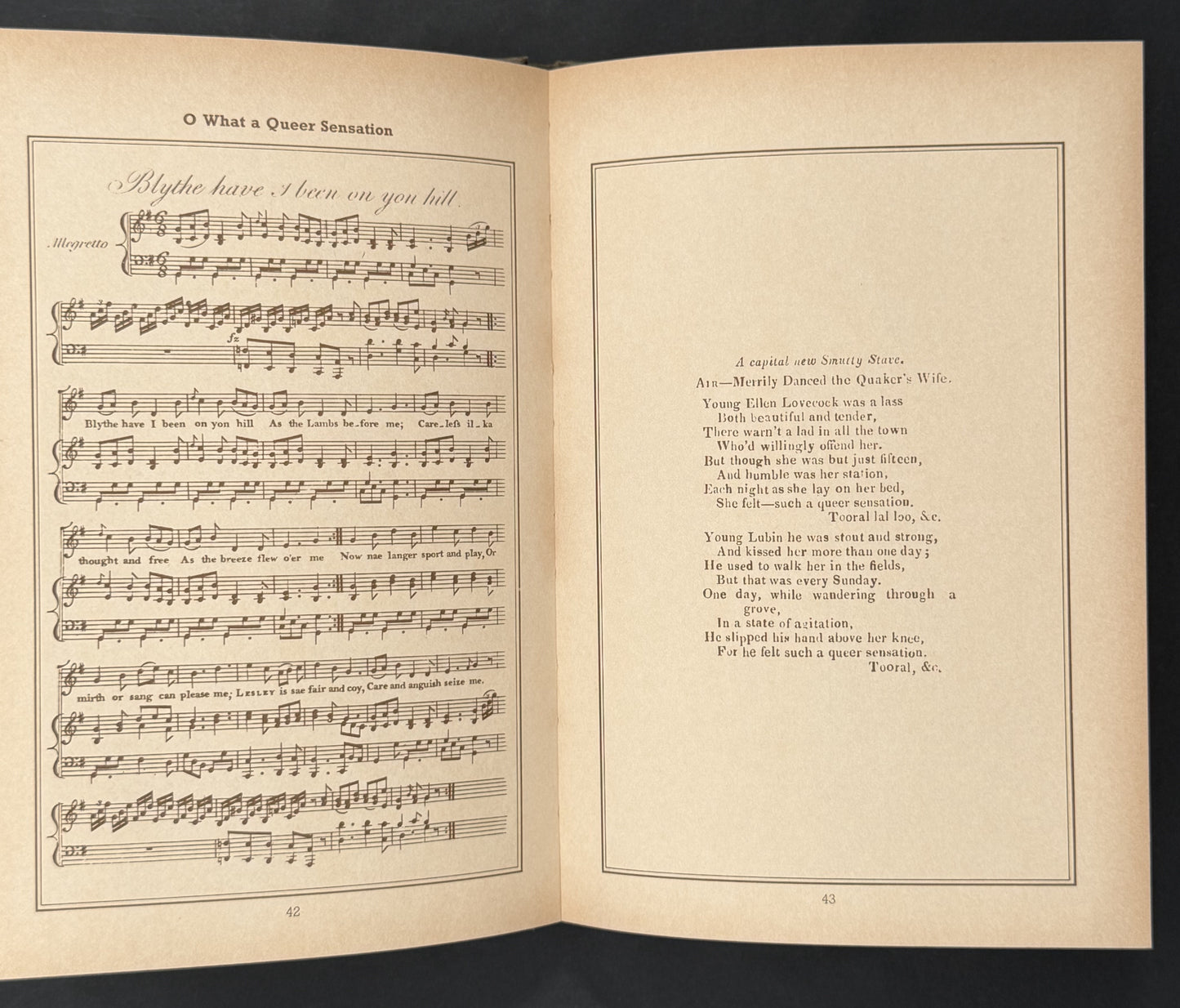 Bawdy Songs of the Early Music Hall
