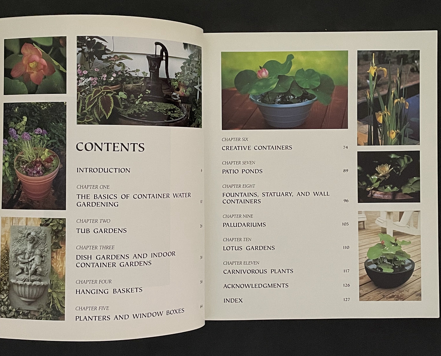 Water Gardening in Containers by Helen Nash, C. Greg Speichert