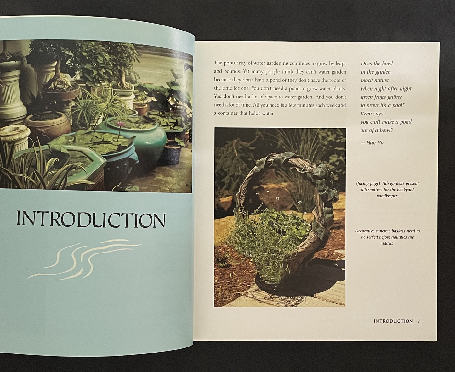 Water Gardening in Containers by Helen Nash, C. Greg Speichert