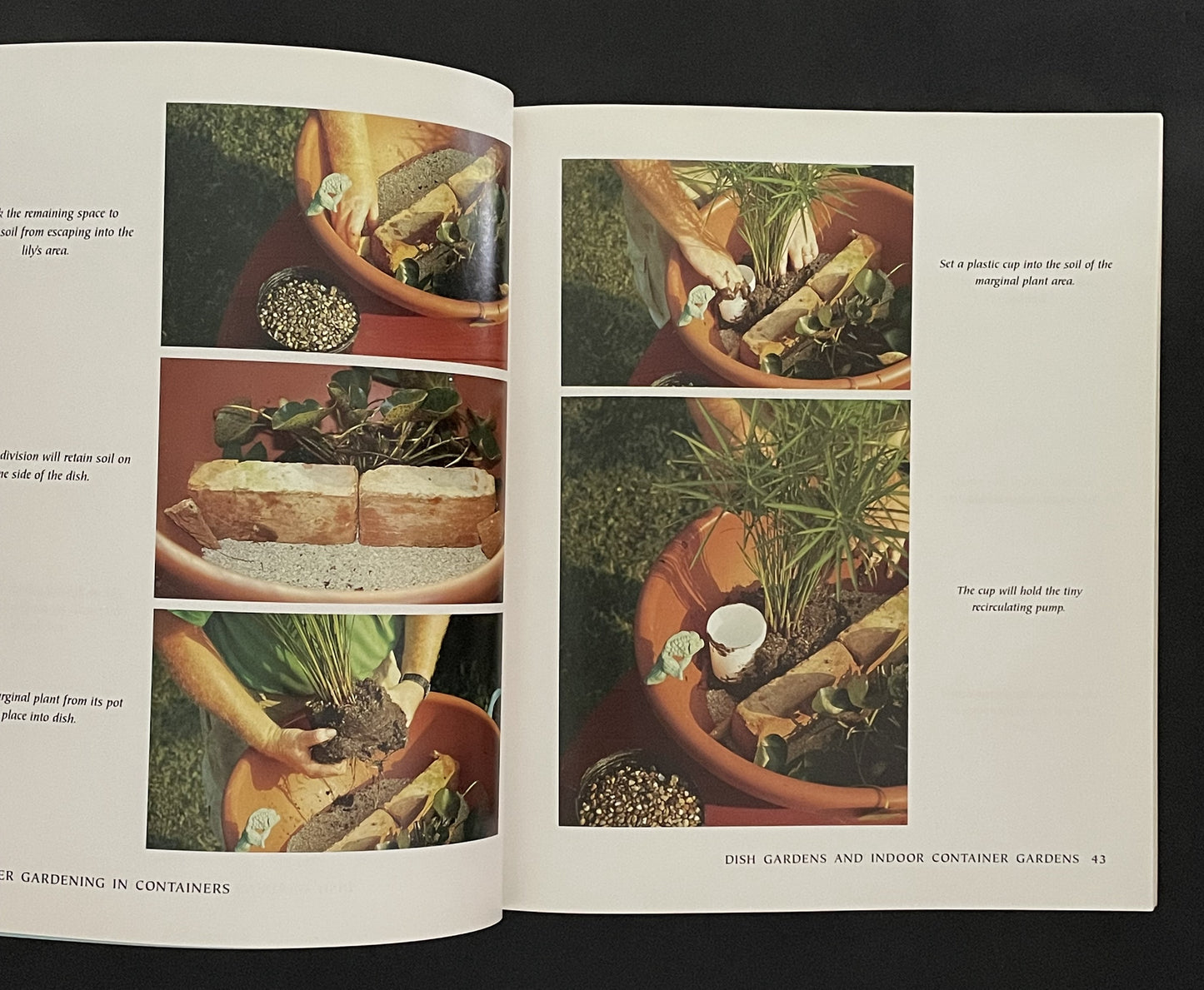 Water Gardening in Containers by Helen Nash, C. Greg Speichert