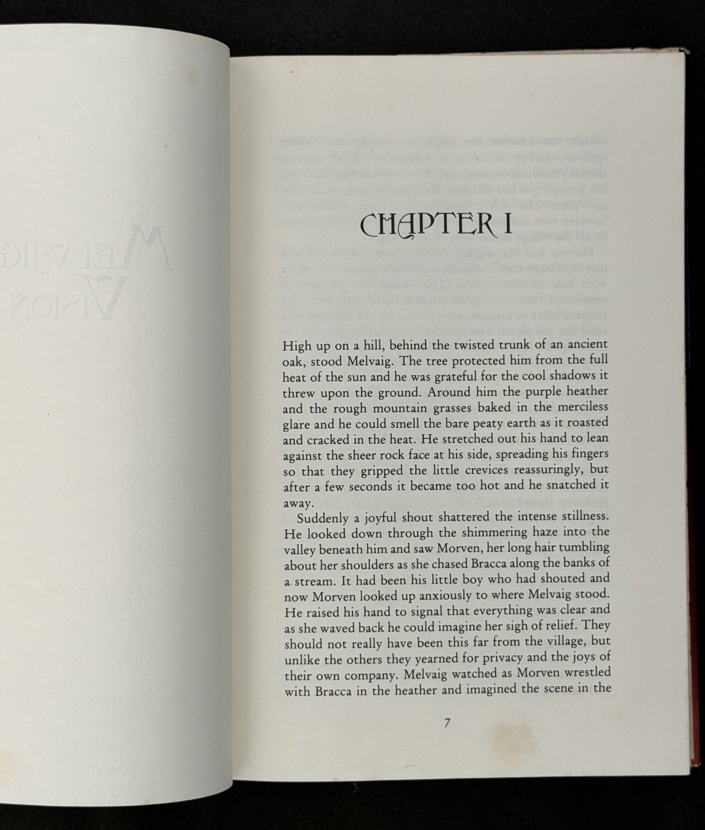 Melvaig's Vision by Richard Ford