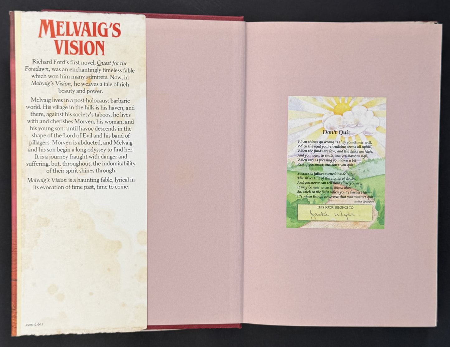 Melvaig's Vision by Richard Ford