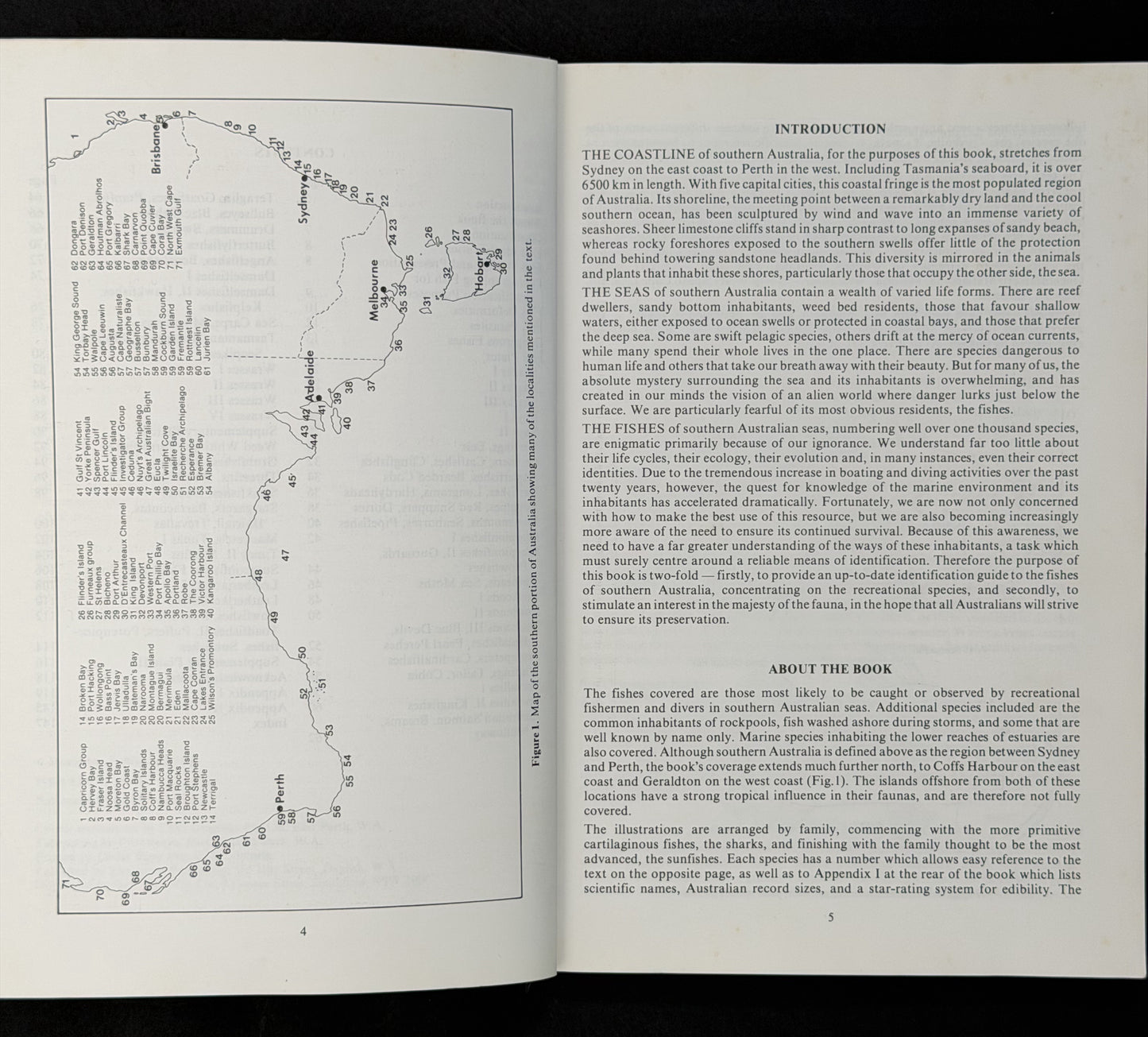 Sea Fishes of Southern Australia by Barry Hutchins, Roger Swainston