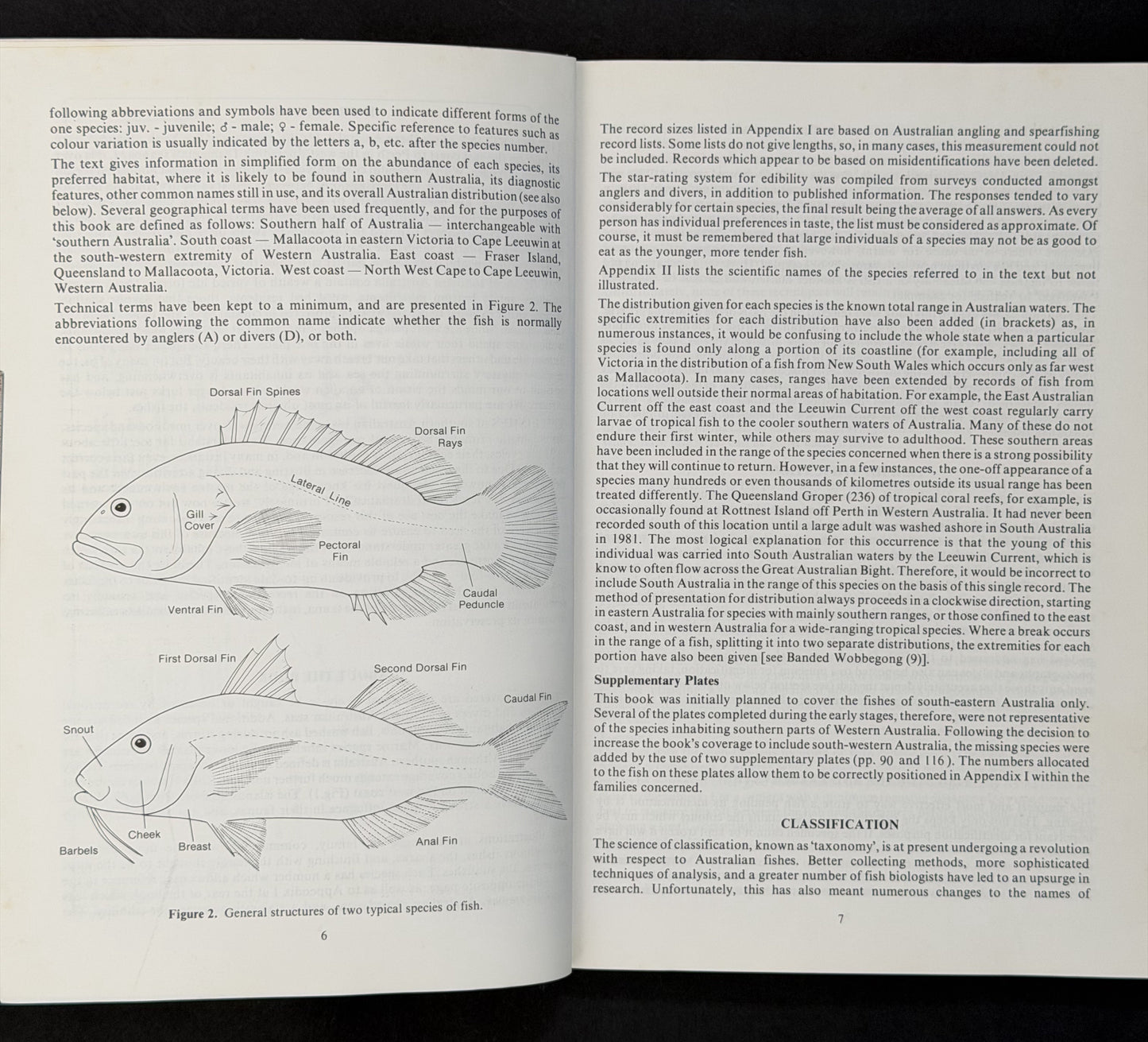 Sea Fishes of Southern Australia by Barry Hutchins, Roger Swainston