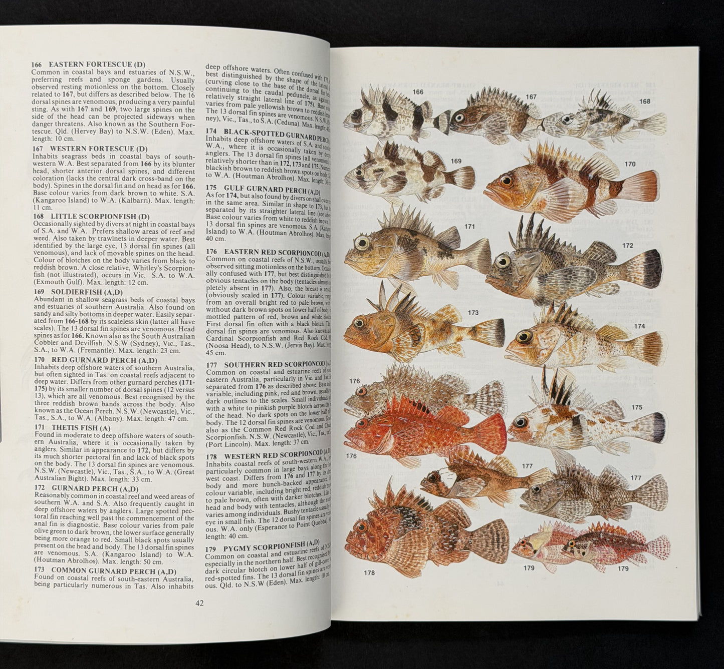 Sea Fishes of Southern Australia by Barry Hutchins, Roger Swainston