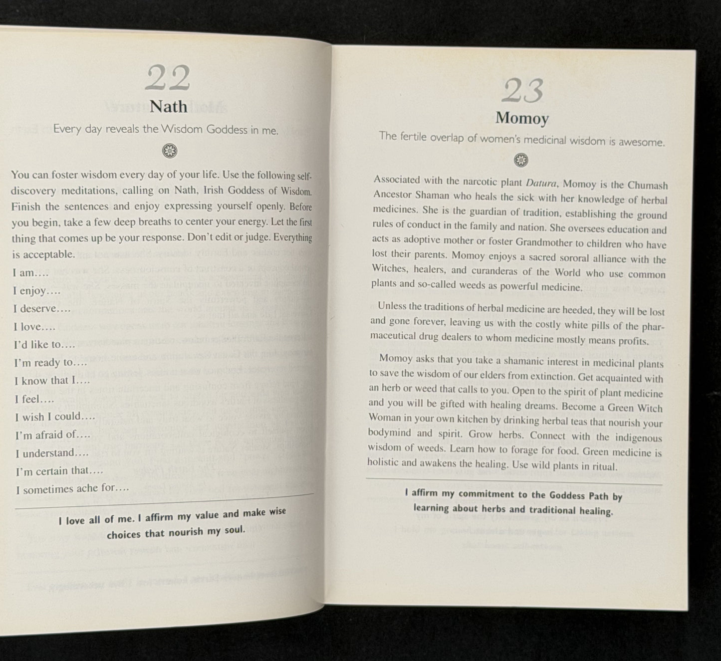 Goddess Days by Nancy Blair